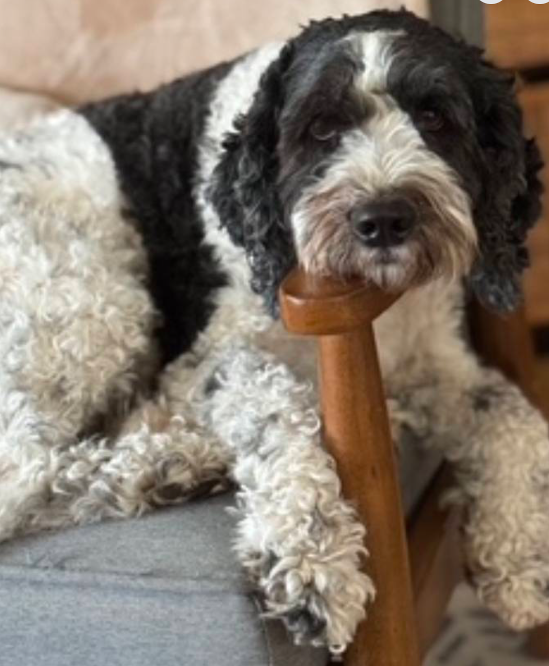 Screen Shot 2026-03-21 at 9.00.32 PM.png