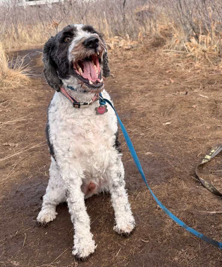 Screen Shot 2026-03-21 at 9.00.55 PM.png