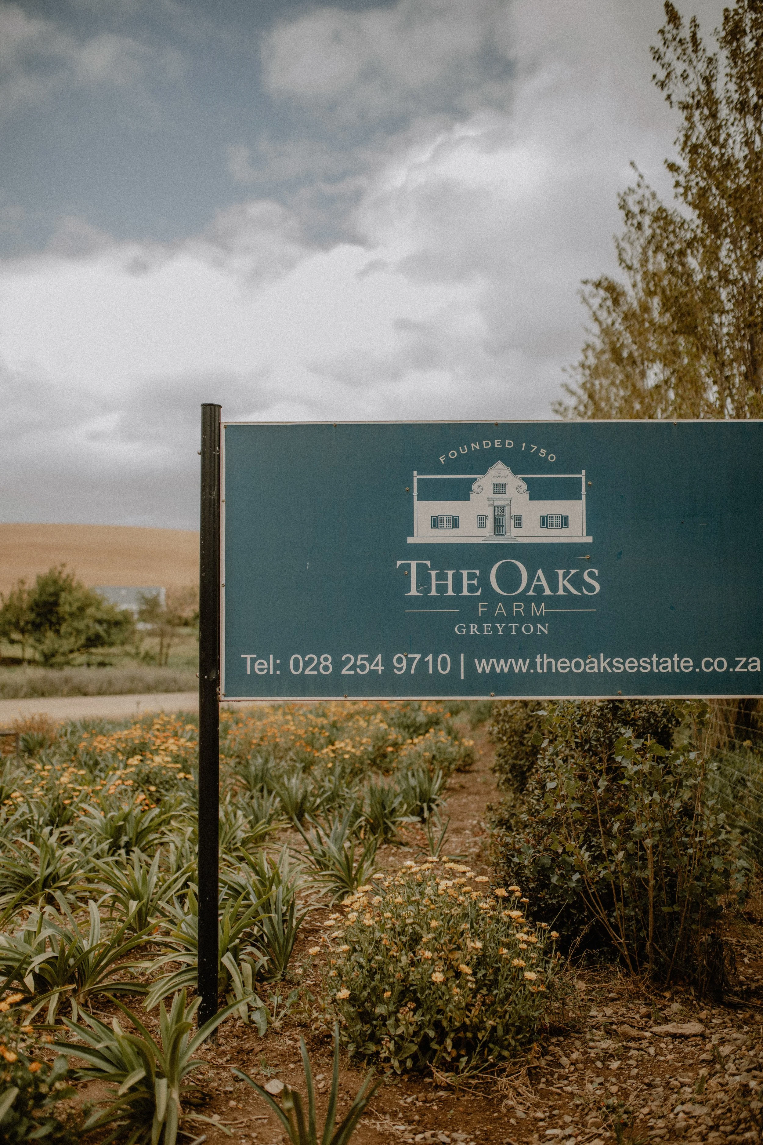 Grace-charlotte-wedding-photography-the-oaks-estate-greyton--cape-town-south-africa-farmstyle-wedding-cape-dutch-farm-wedding-accomodation-country-destination-6.jpg