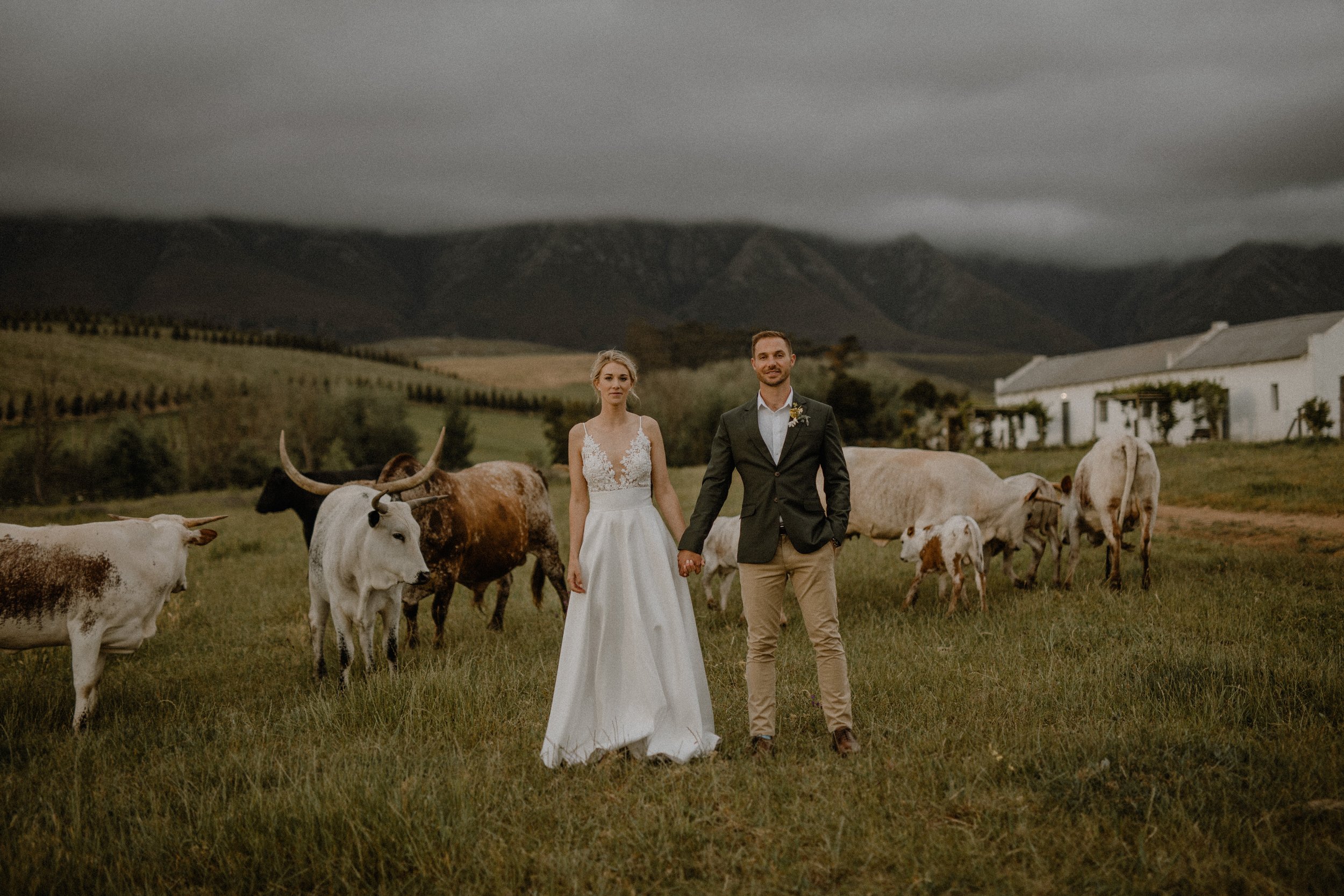 Grace-charlotte-wedding-photography-the-oaks-estate-greyton--cape-town-south-africa-farmstyle-wedding-cape-dutch-farm-wedding-accomodation-country-destination-84.jpg