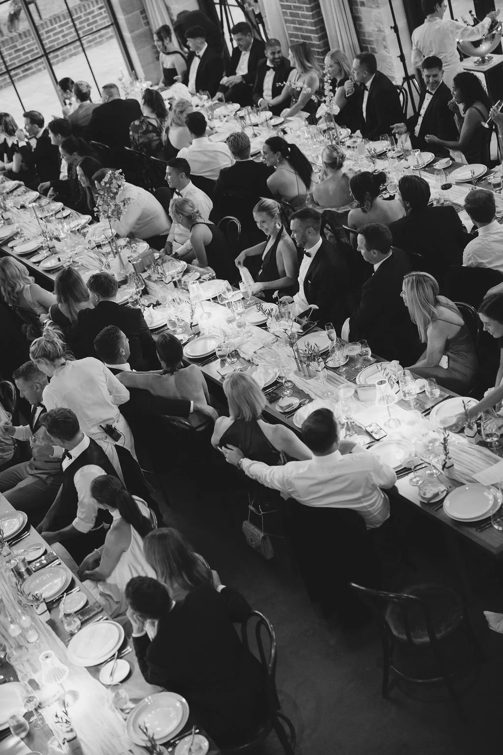 Wedding reception all guests seated 