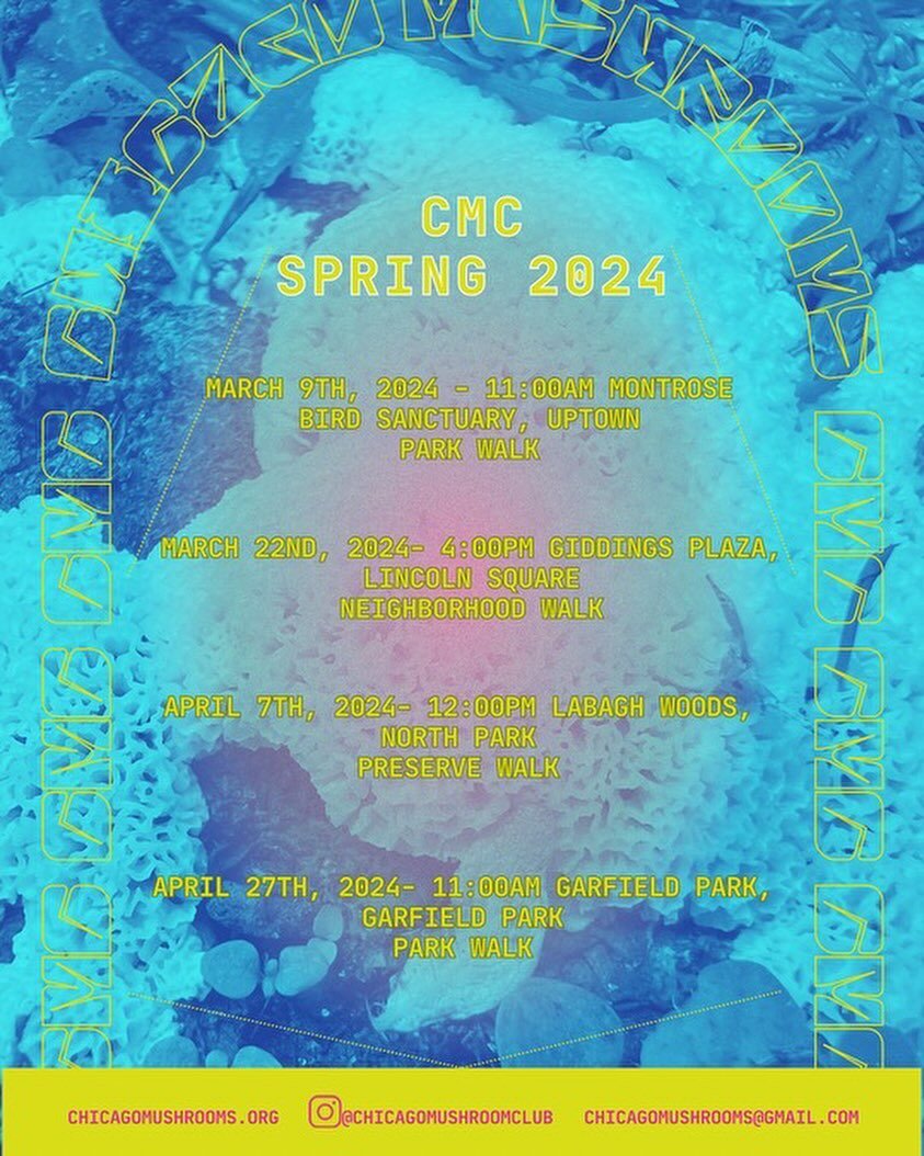 Here is our upcoming schedule for spring 2024! Can&rsquo;t wait to see you all ❤️

If you are curious about joining our club, all you have to do is show up! We will welcome you, walk with you, and learn together with you. We are all about open-access