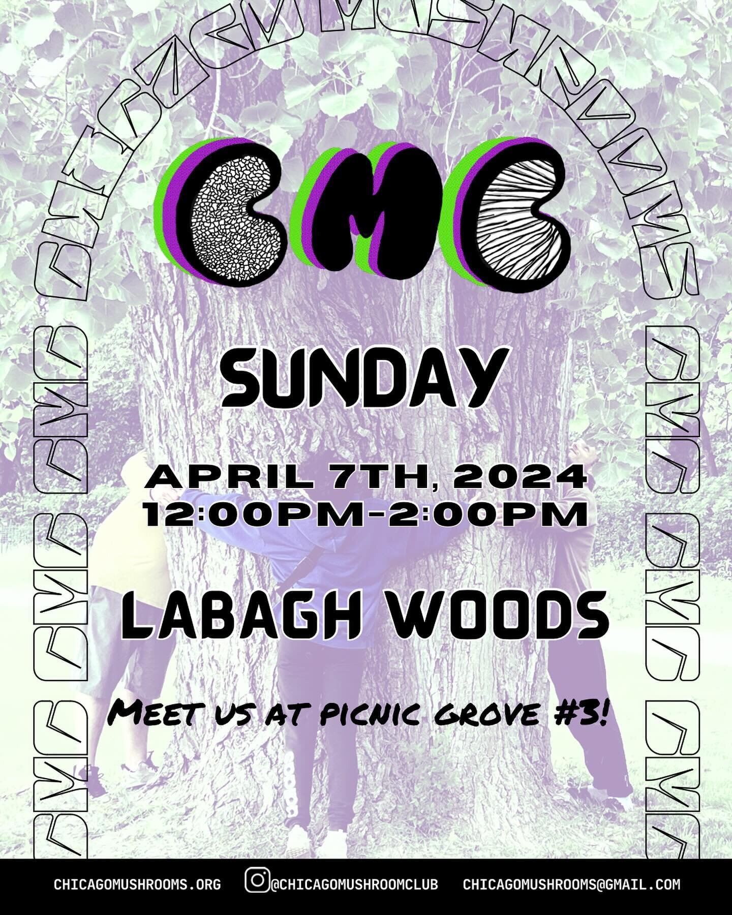 ✨🍄🍄&zwj;🟫🍄🍄&zwj;🟫✨ It&rsquo;s time for another outing and spring has certainly sprung! Sunday April 7th at noon, we&rsquo;ll see you at LaBagh✨🍄🍄&zwj;🟫🍄🍄&zwj;🟫✨

Meet us at Picnic Grove #3! We will walk into the preserve together as a gro