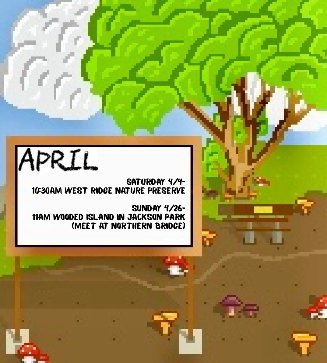 04/26/26 - Jackson Park Wooded Island - 11AM