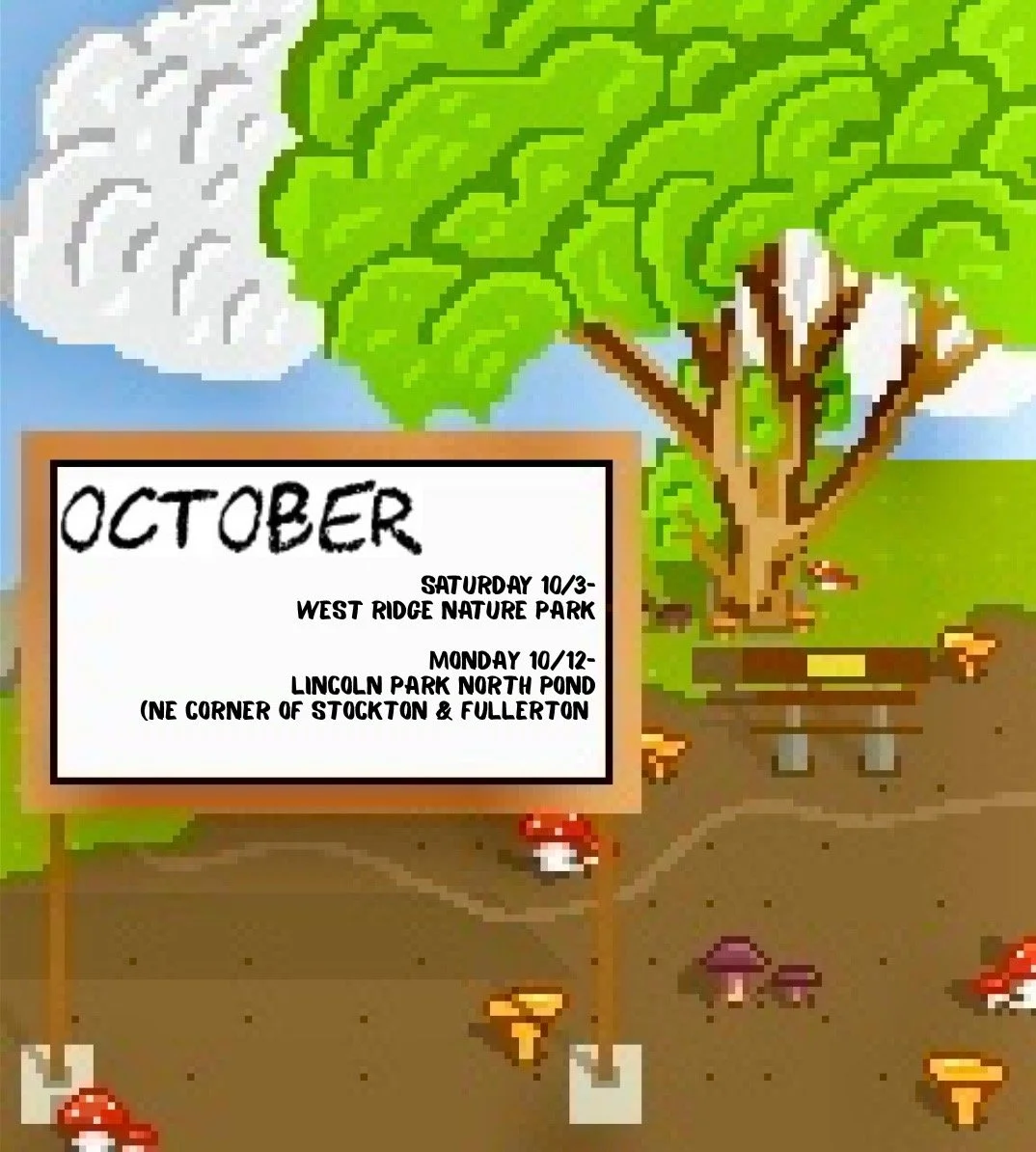 10/12/26 - Lincoln Park North Pond - 2PM