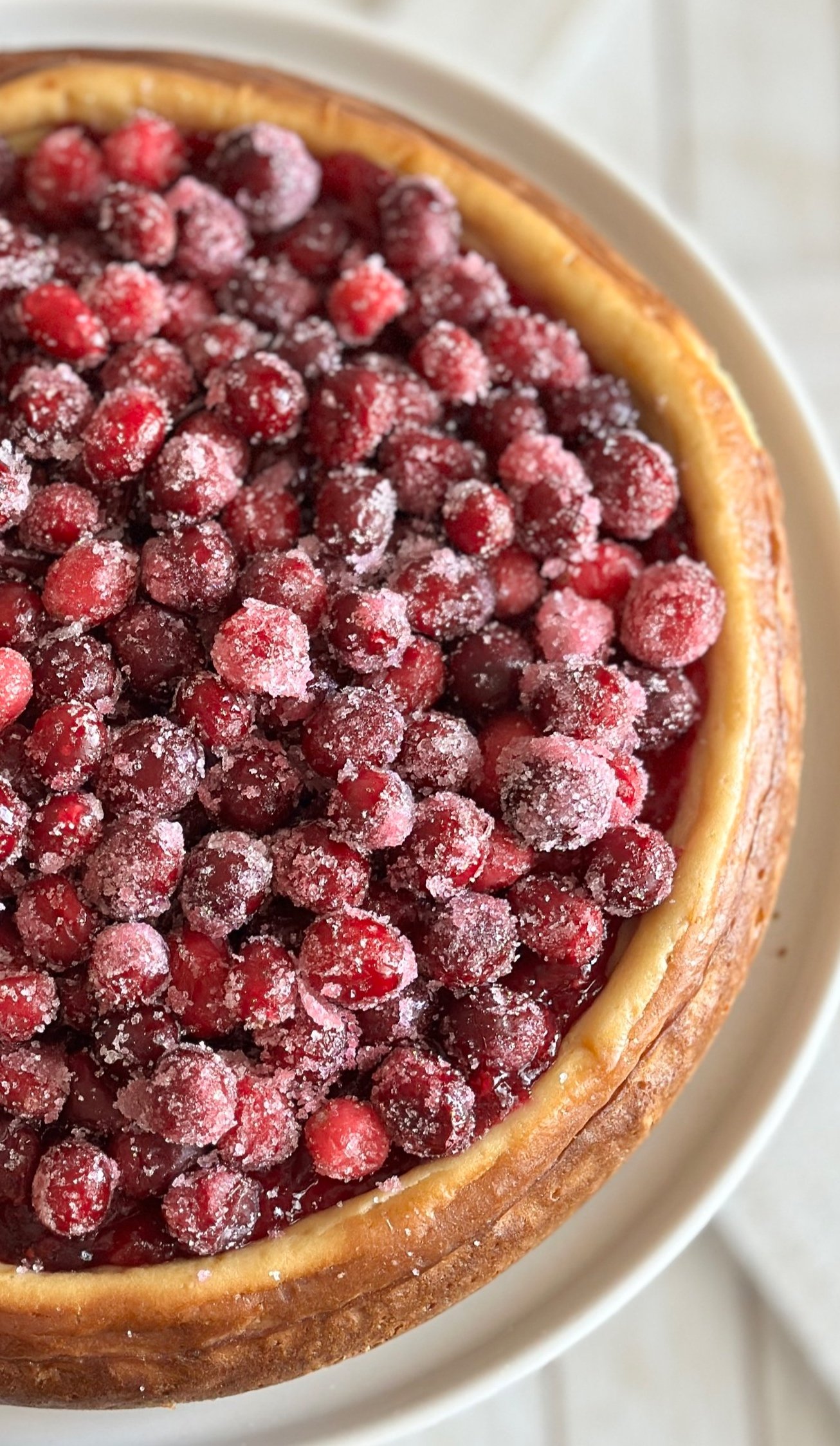 Sparkling Cranberry Cheesecake