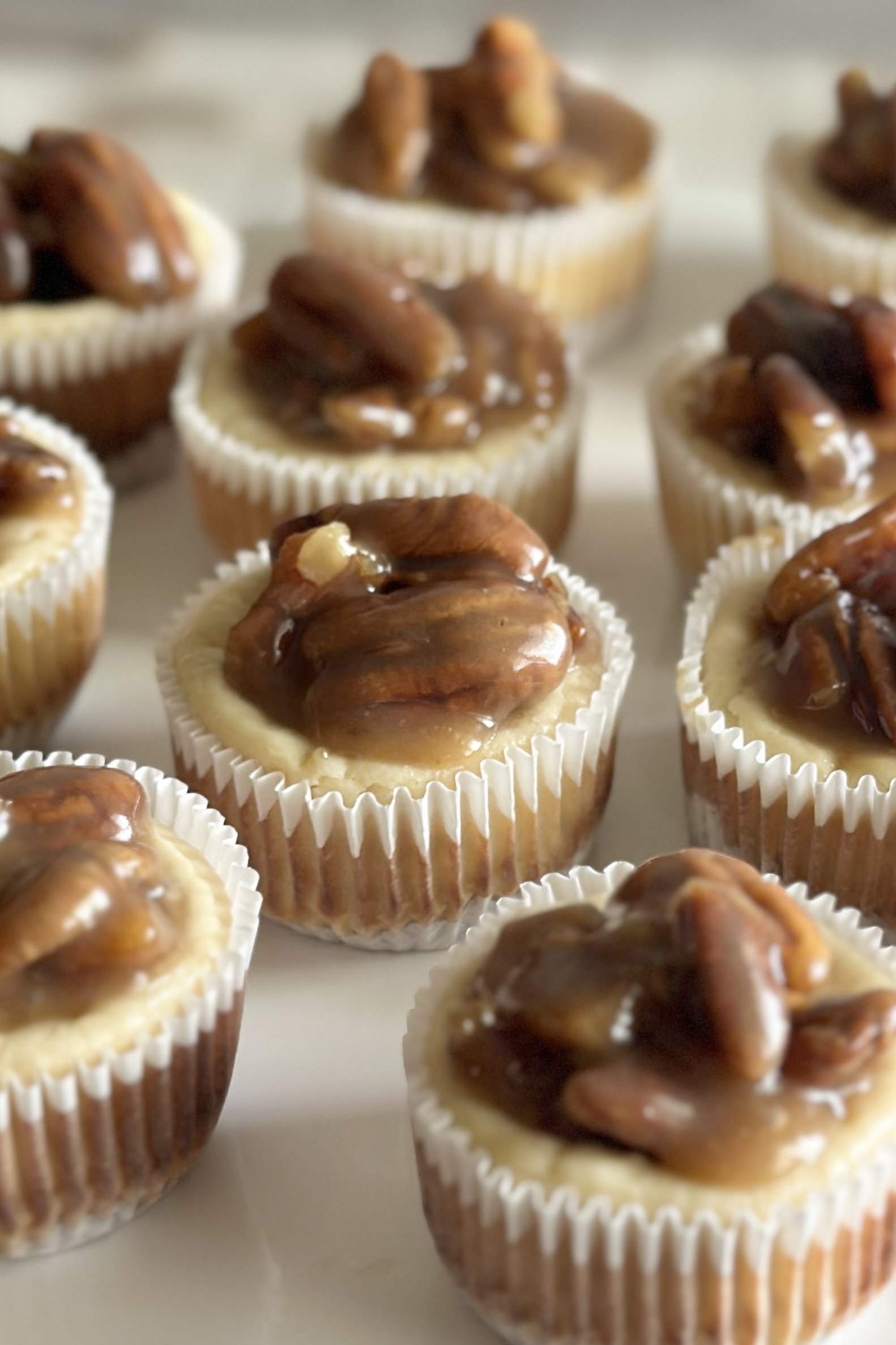 Mini Caramel Pecan Cheesecakes