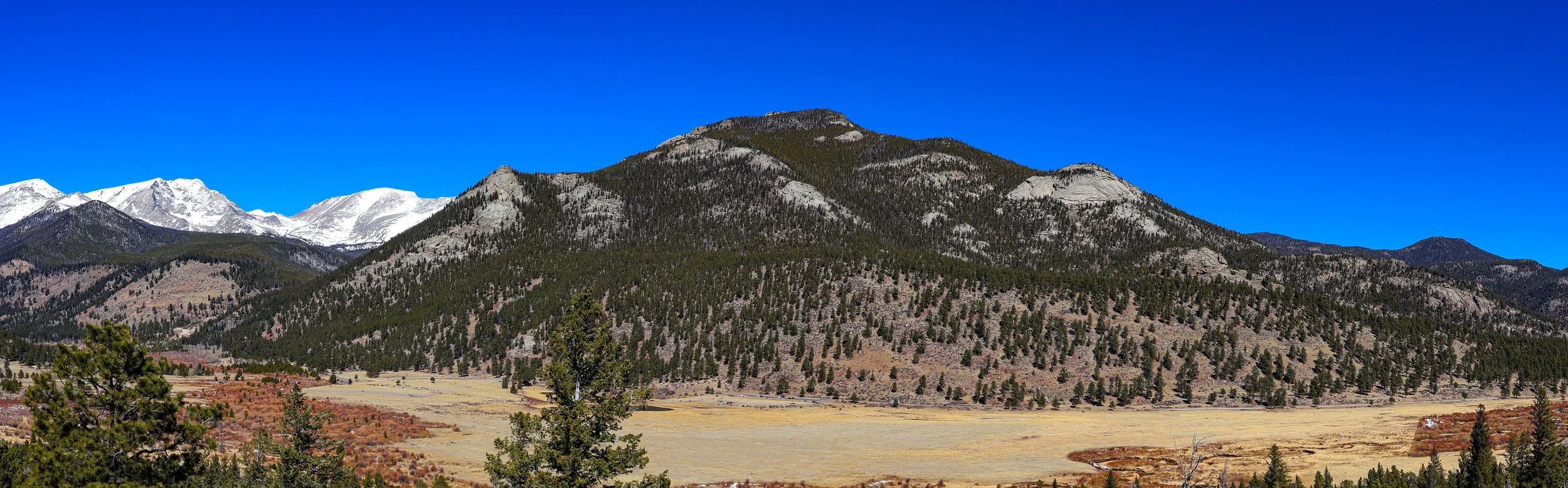 Panharmonious //  Specs:  Photography, Canon EOS R10 RF-S18-150mm   