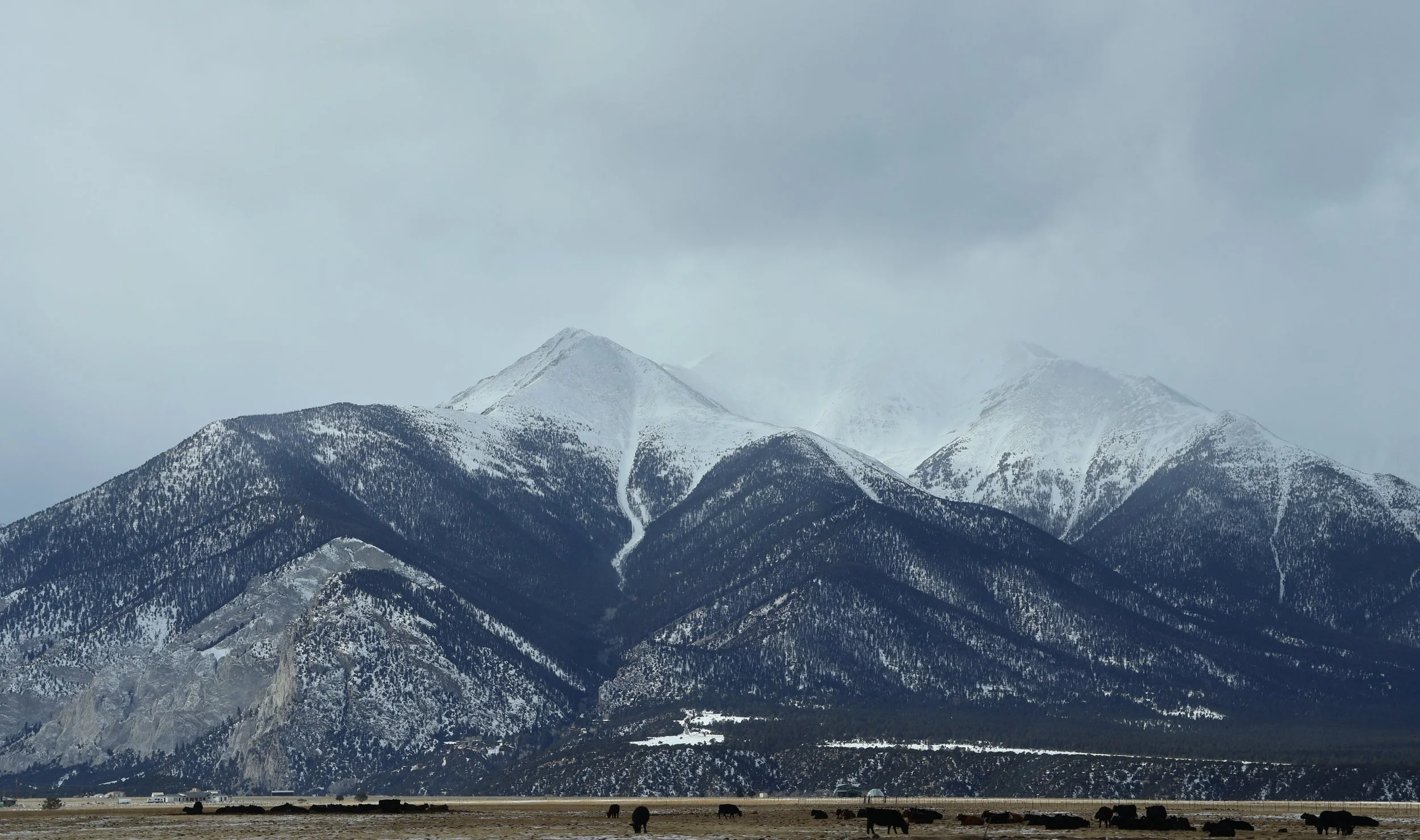 Contrast //  Specs:  Photography, Canon EOS R10 RF-S18-150mm   