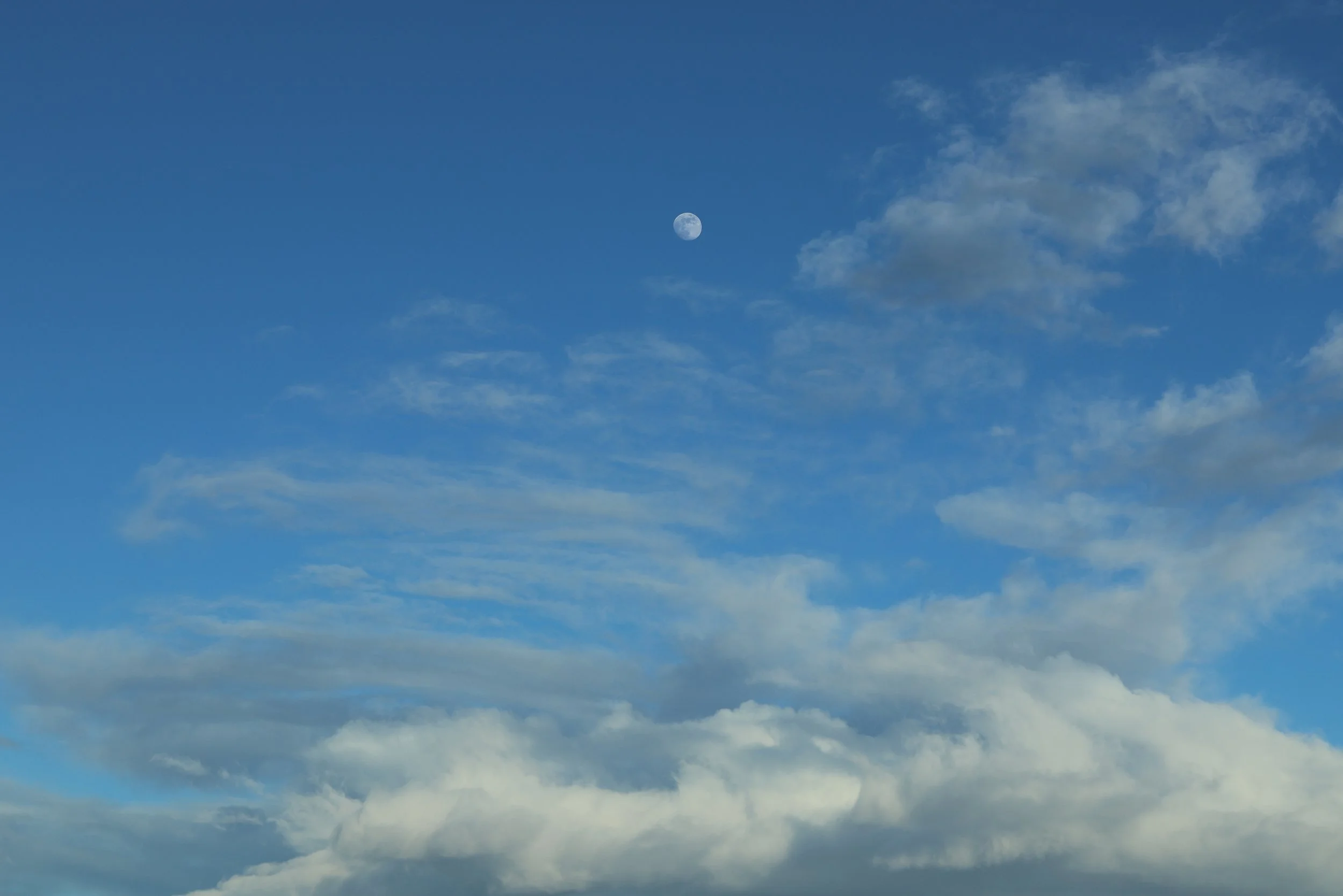 Tsunami //  Specs:  Photography, Canon EOS R10 RF-S18-150mm   