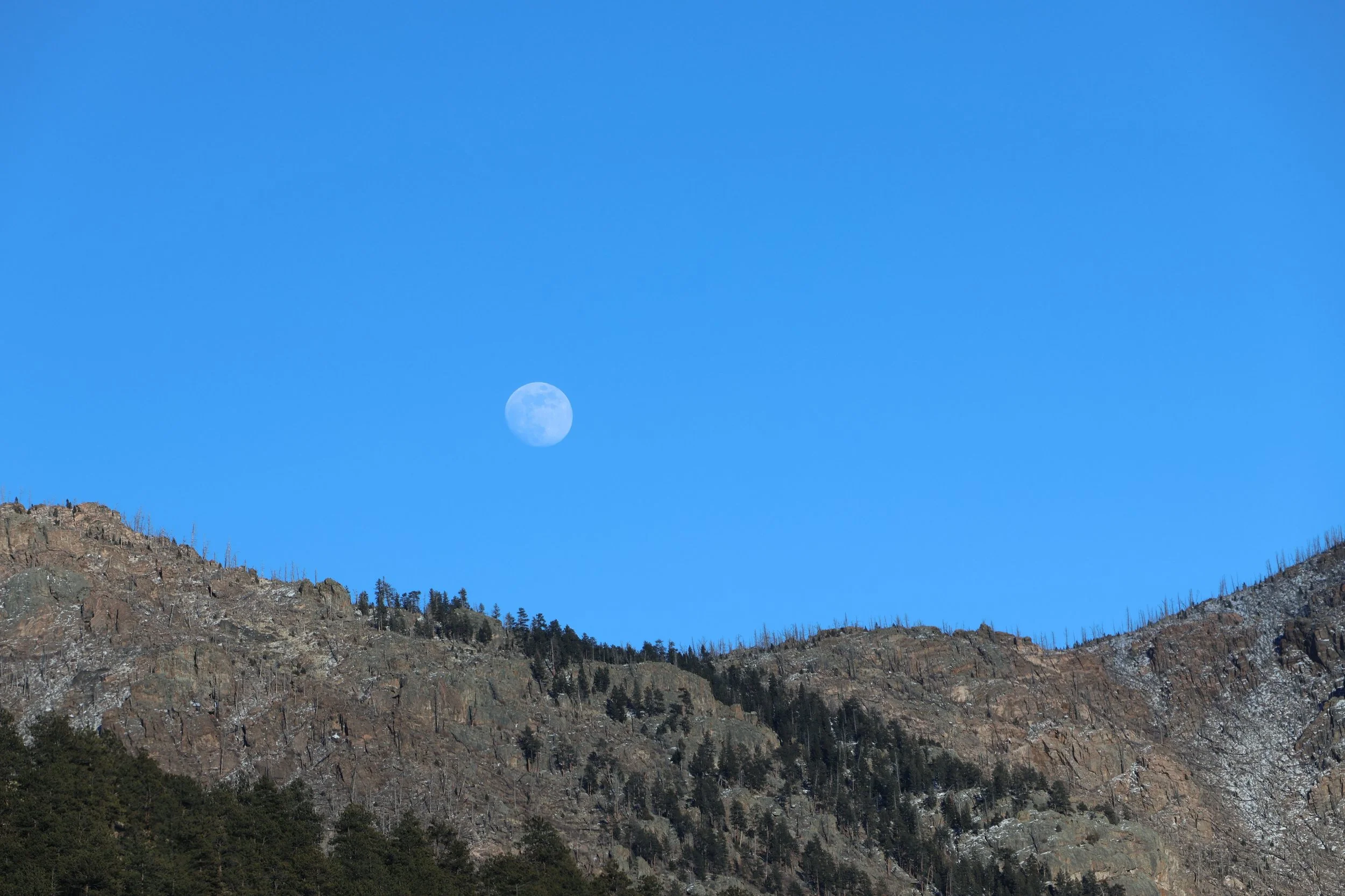Over the Moon //  Specs:  Photography, Canon EOS R10 RF-S18-150mm   