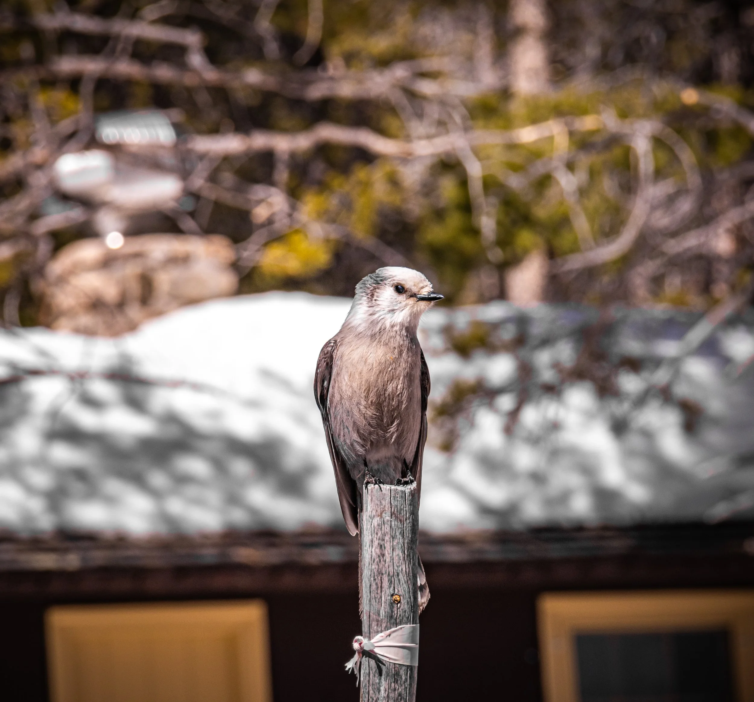 Occupied //  Specs:  Photography, Canon EOS R10 RF-S18-150mm   