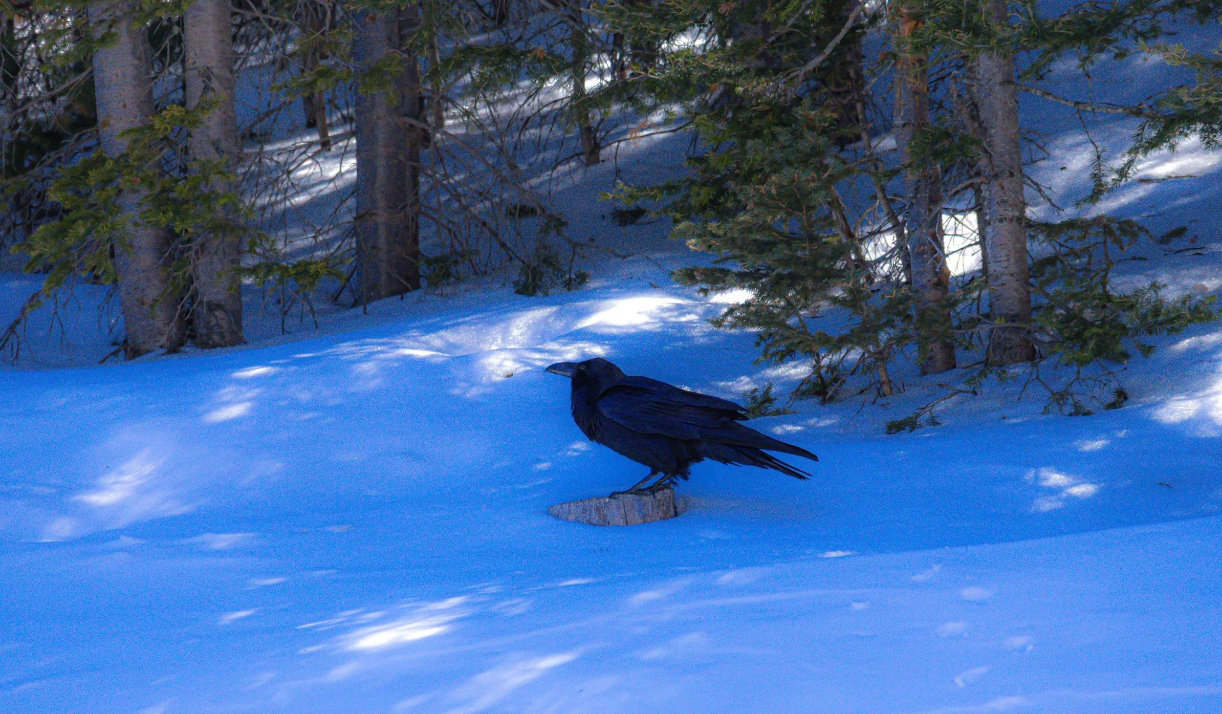 Unin //  Specs:  Photography, Canon EOS R10 RF-S18-150mm   