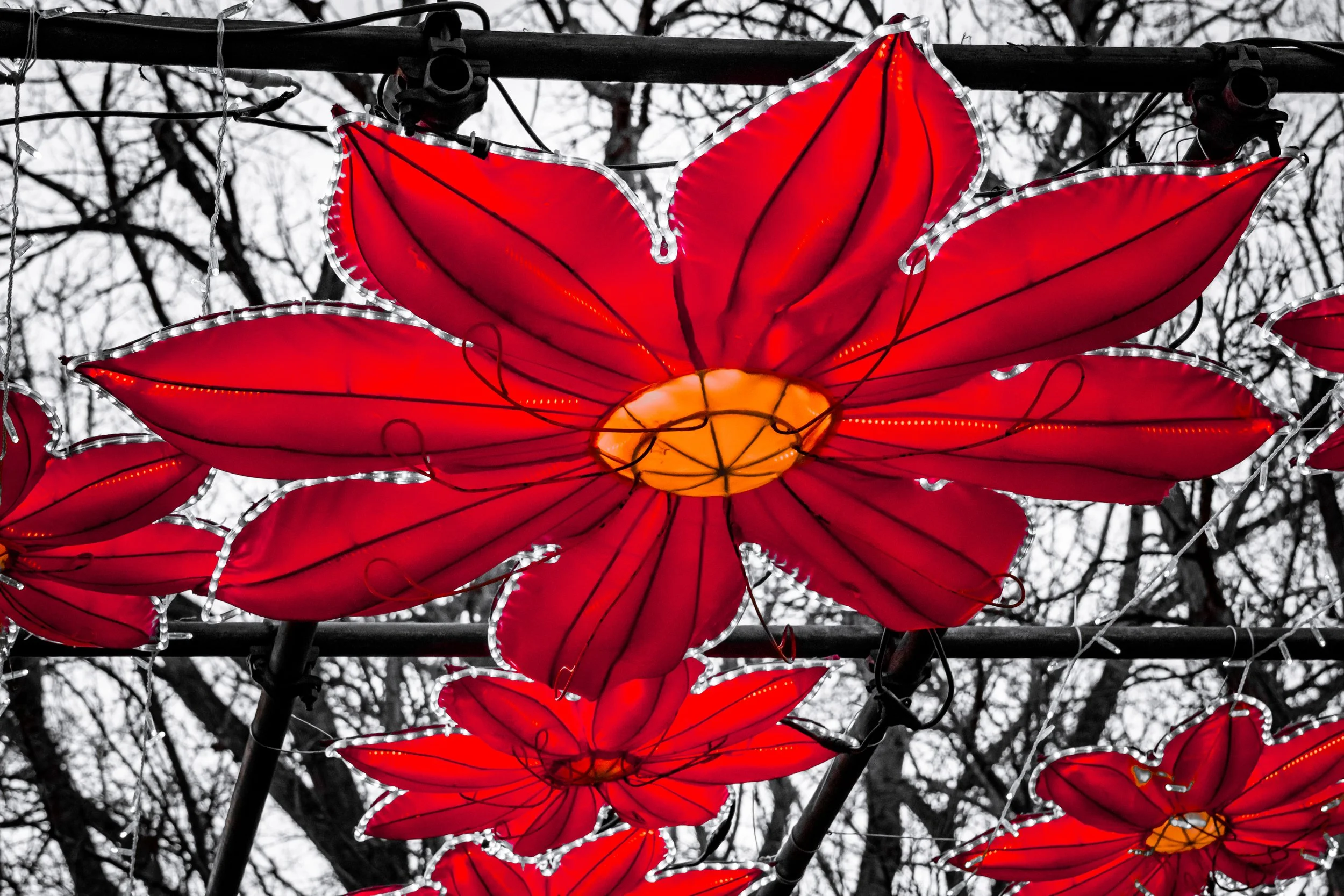 Seeing Stars //  Specs:  Photography, Canon EOS R10 RF-S18-150mm   