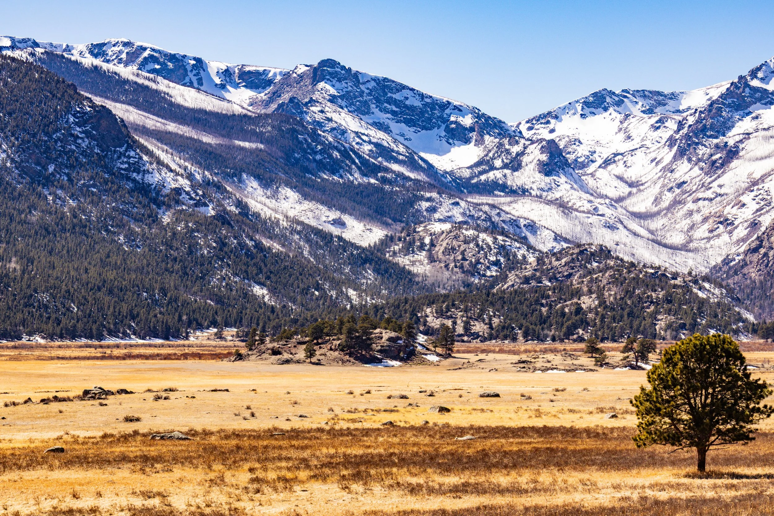 Dichotomy //  Specs:  Photography, Canon EOS R10 RF-S18-150mm   