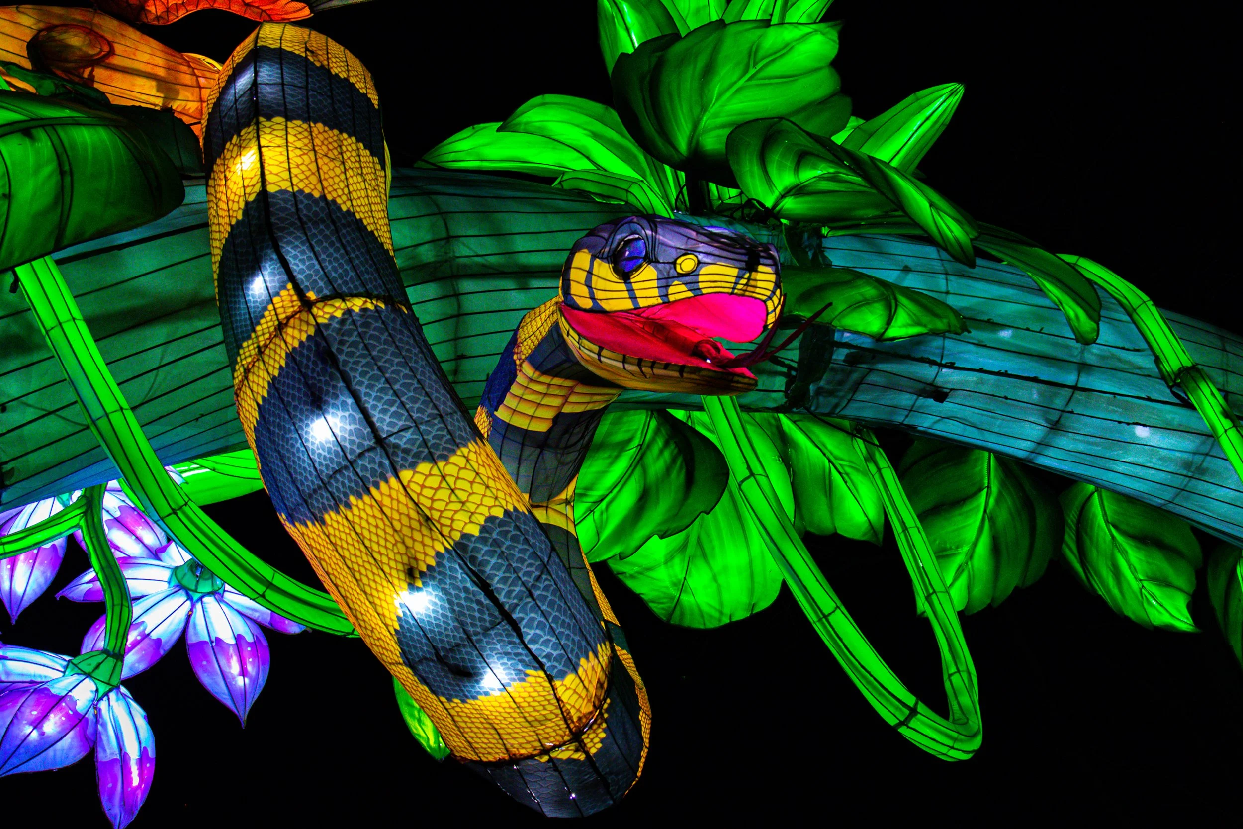 Skywinder //  Specs:  Photography, Canon EOS R10 RF-S18-150mm   