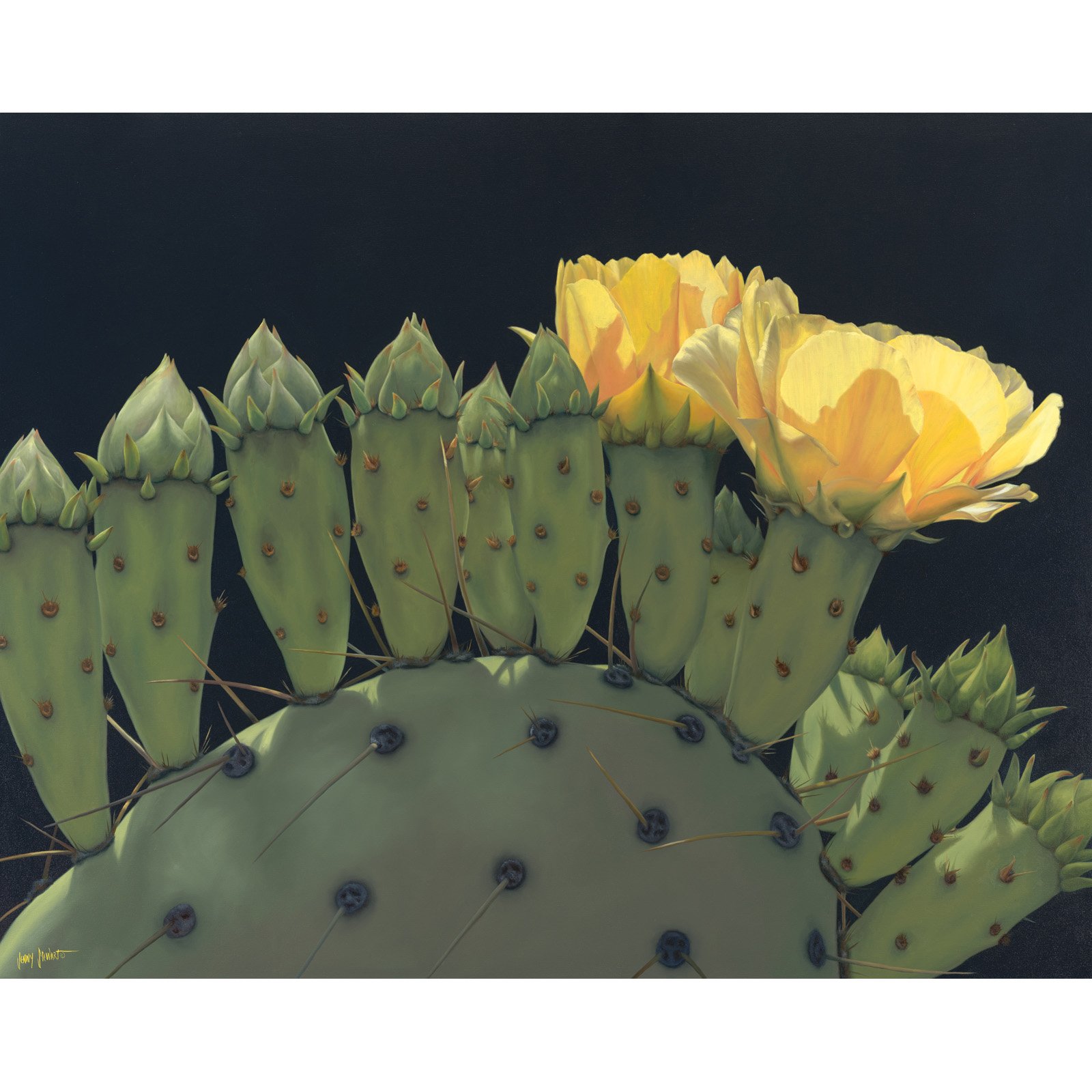 Sun Kissed Parade (prints available)