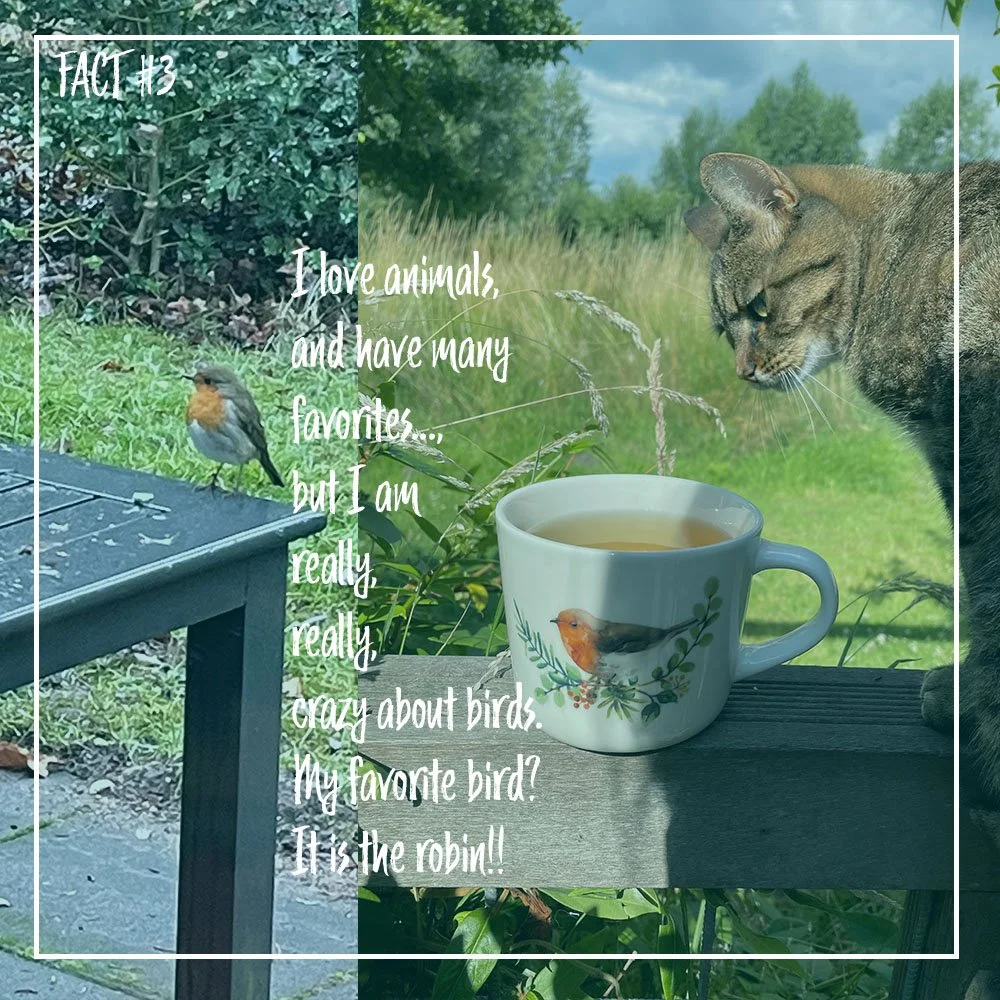 A cozy scene with a mug featuring a robin design, a small bird on a table, and a cat looking through a window at the birds outside in a lush green outdoor setting.