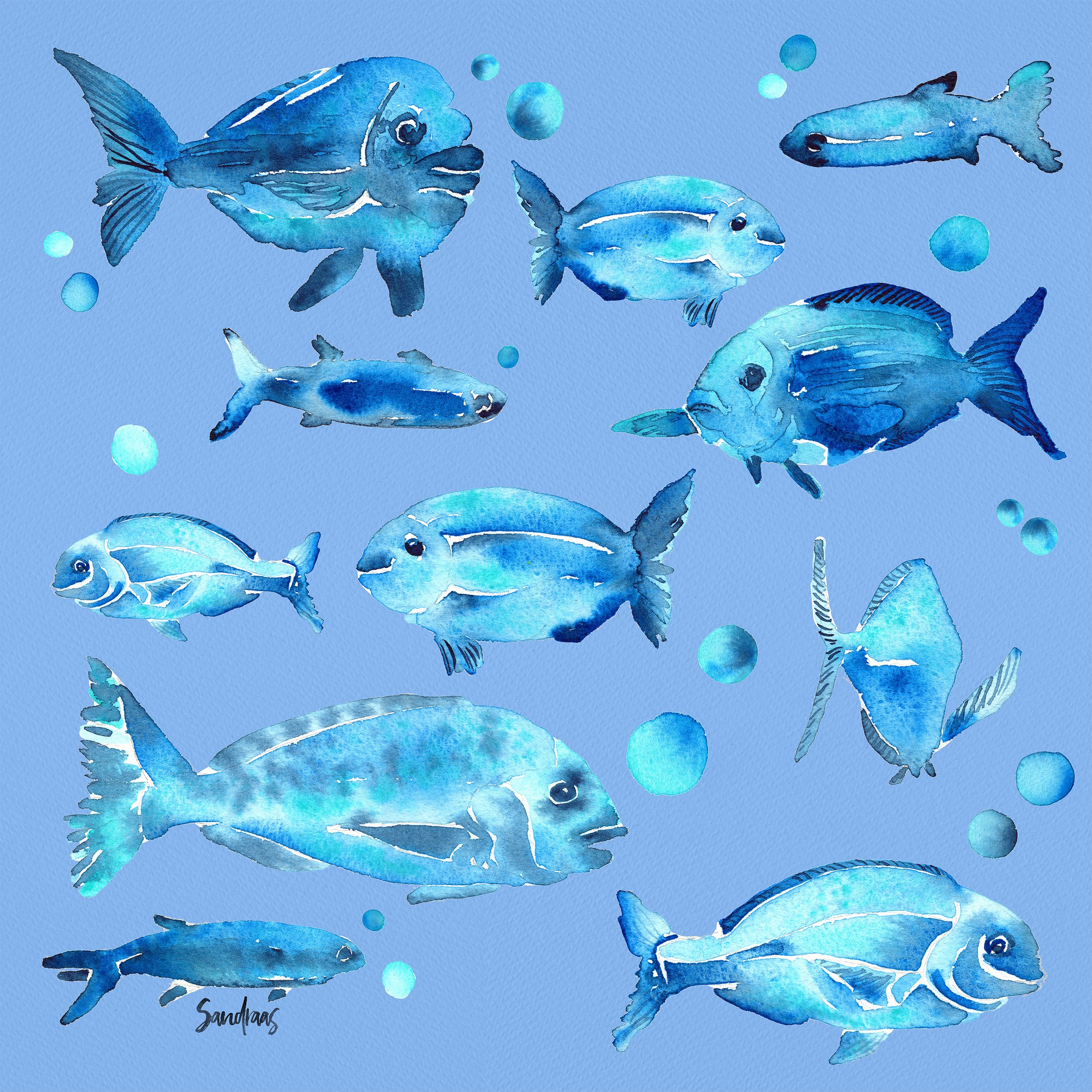 LightBlue_Fish_ArtPrintSquare.jpg