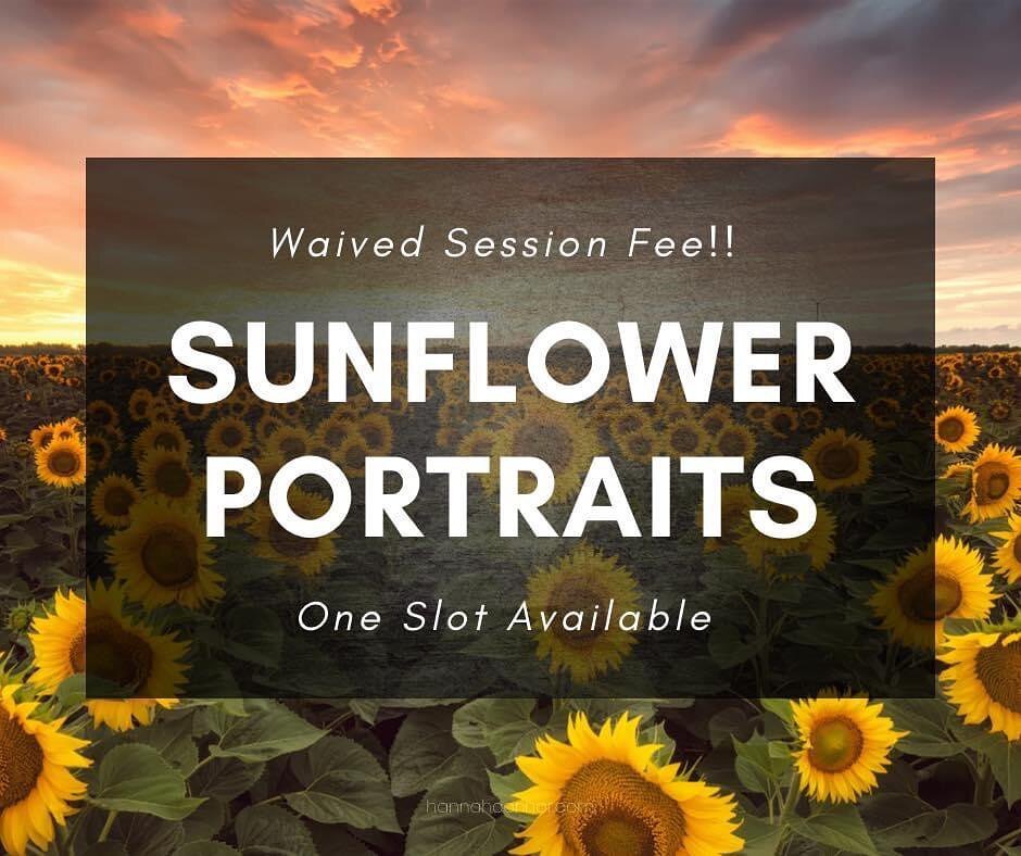 🌻SUNFLOWER SEASON🌻
.
One slot available for Sunflower Portraits, with a waived session fee! This means you&rsquo;ll only be paying for the image collection of your choosing!
.
Perfect for seniors, engagements, or just some pretty flower portraits f