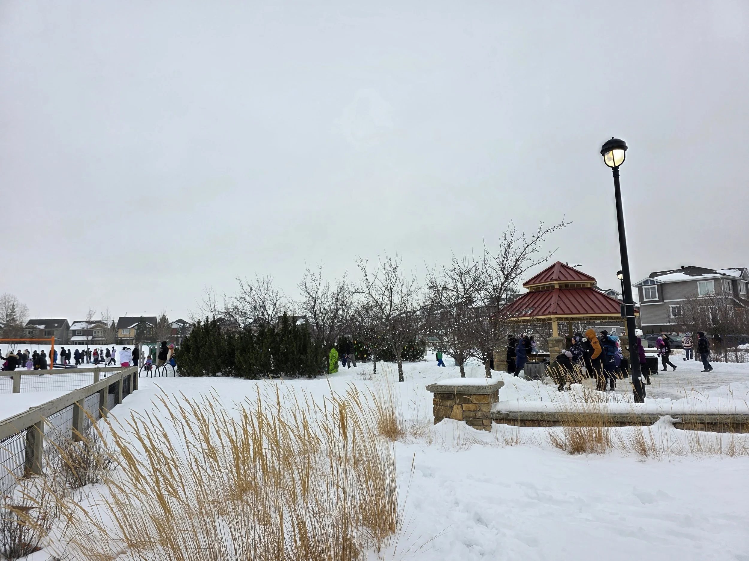Snowy park with people gathered around a gazebo, some skating on an ice rink, and houses in the background. Snow covers the ground, and leafless trees are scattered around the area.