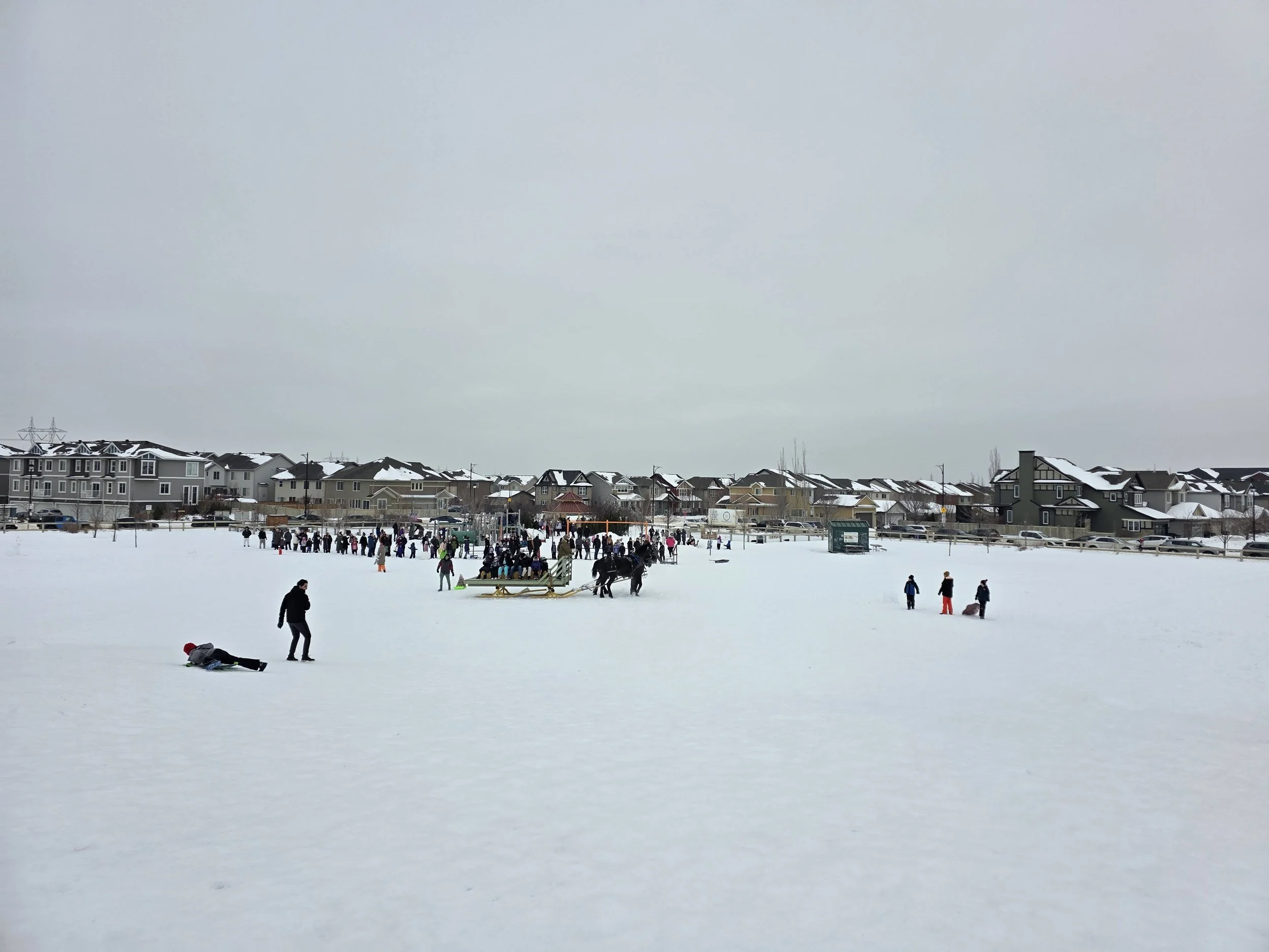 People enjoying winter activities on a snow-covered field near residential houses under an overcast sky.