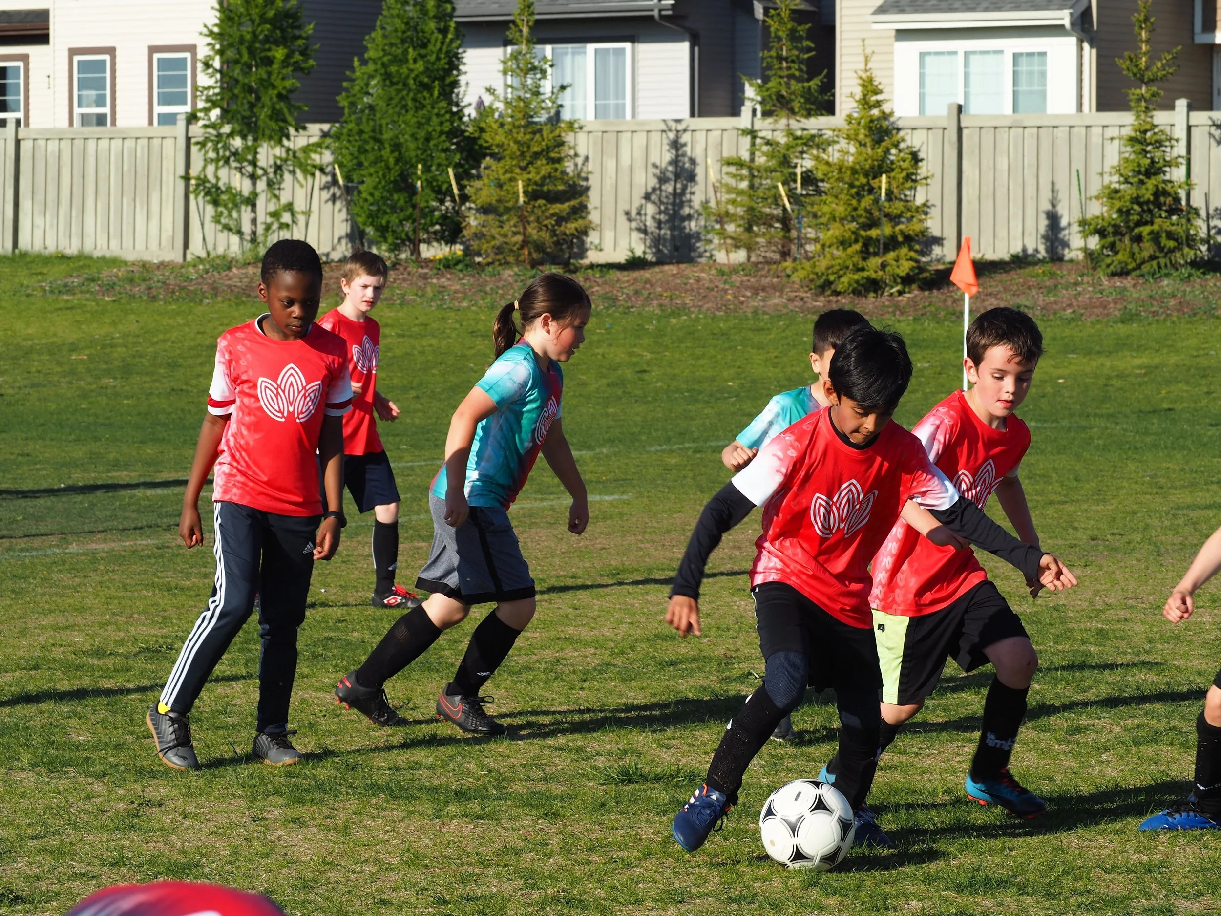 Children playing soccer on a grassy field, wearing red and turquoise jerseys, with a fence, trees, and houses in the background.