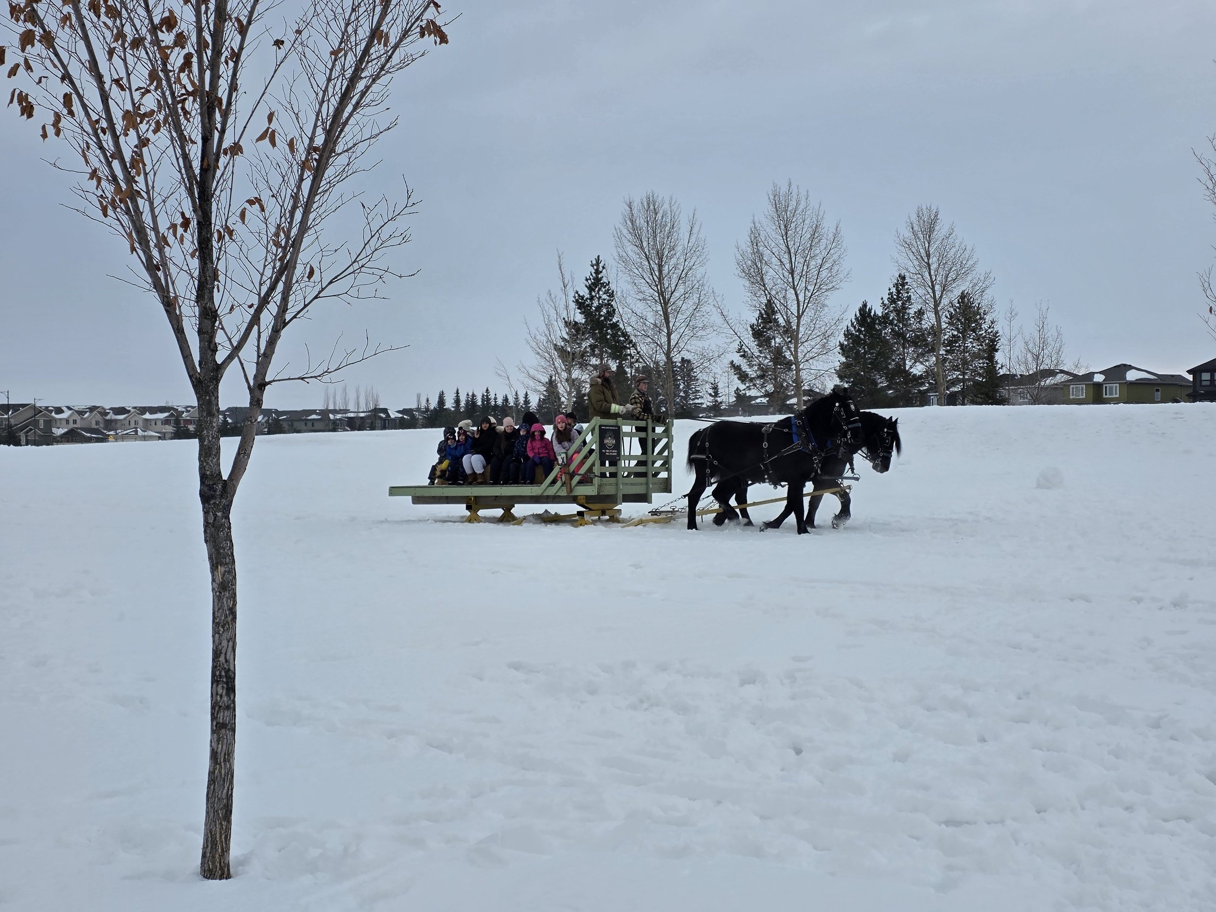 A group of people riding on a horse-drawn sleigh on snow-covered ground, with a leafless tree in the foreground and trees and houses in the background.