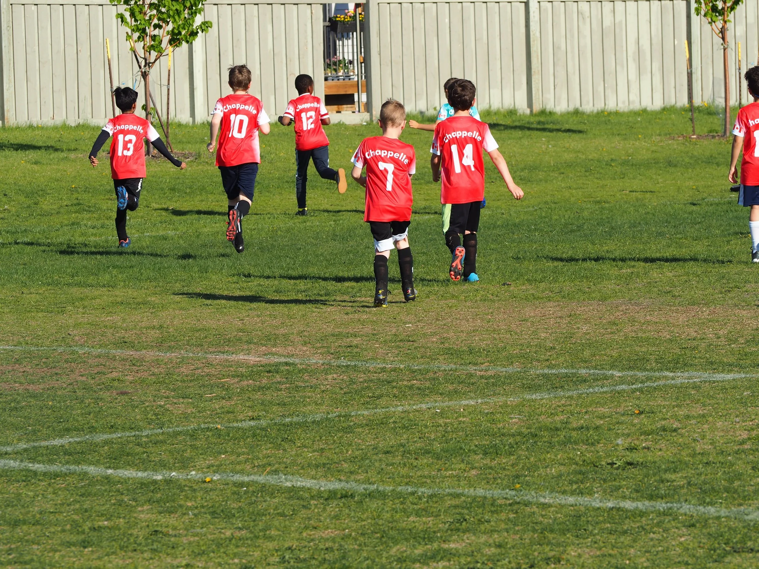 Young children playing soccer on a grassy field, wearing red jerseys with white and black accents and black shorts.