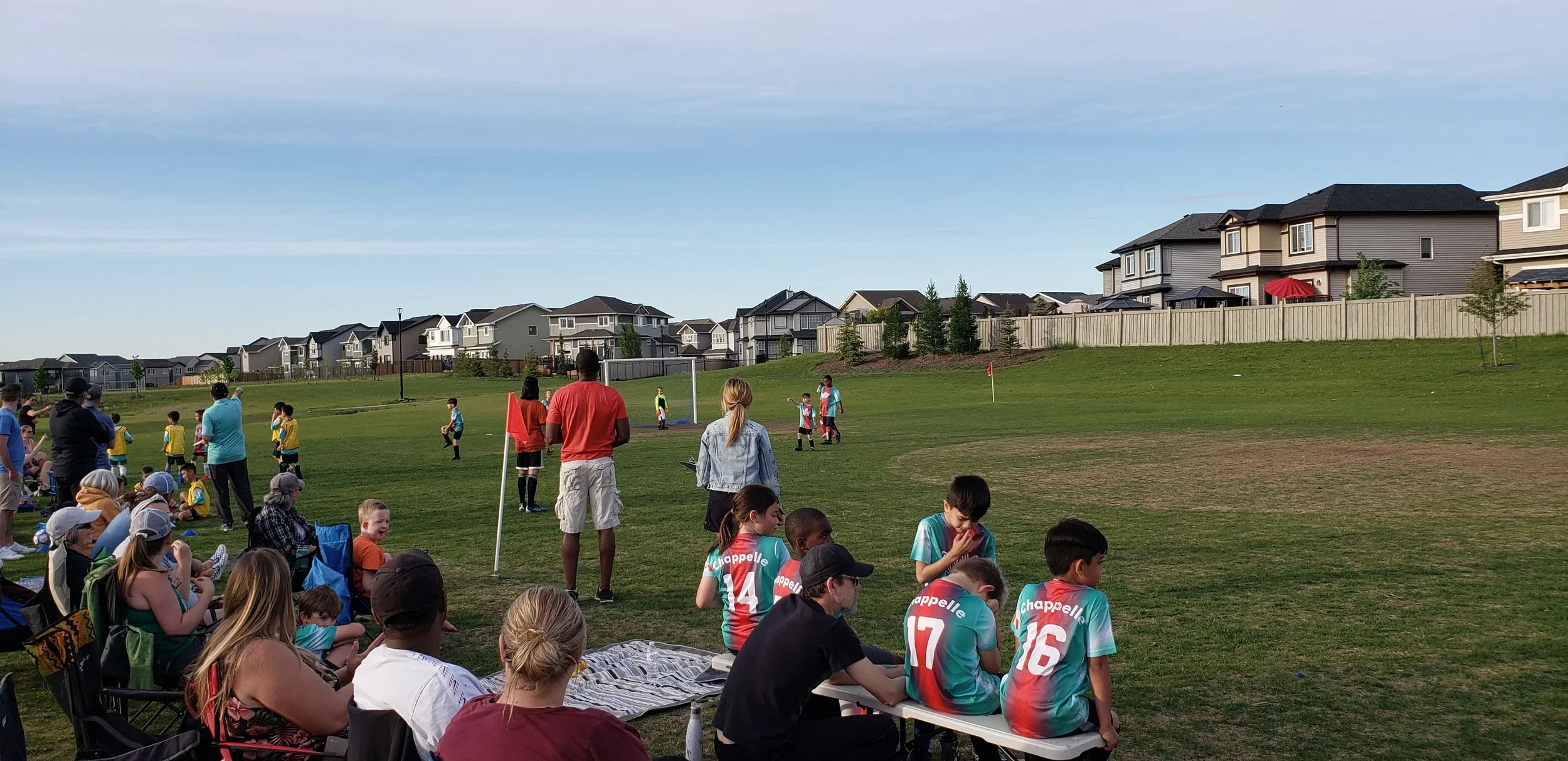 Children playing soccer on a grassy field with spectators and coaches watching. Residential houses line the background.