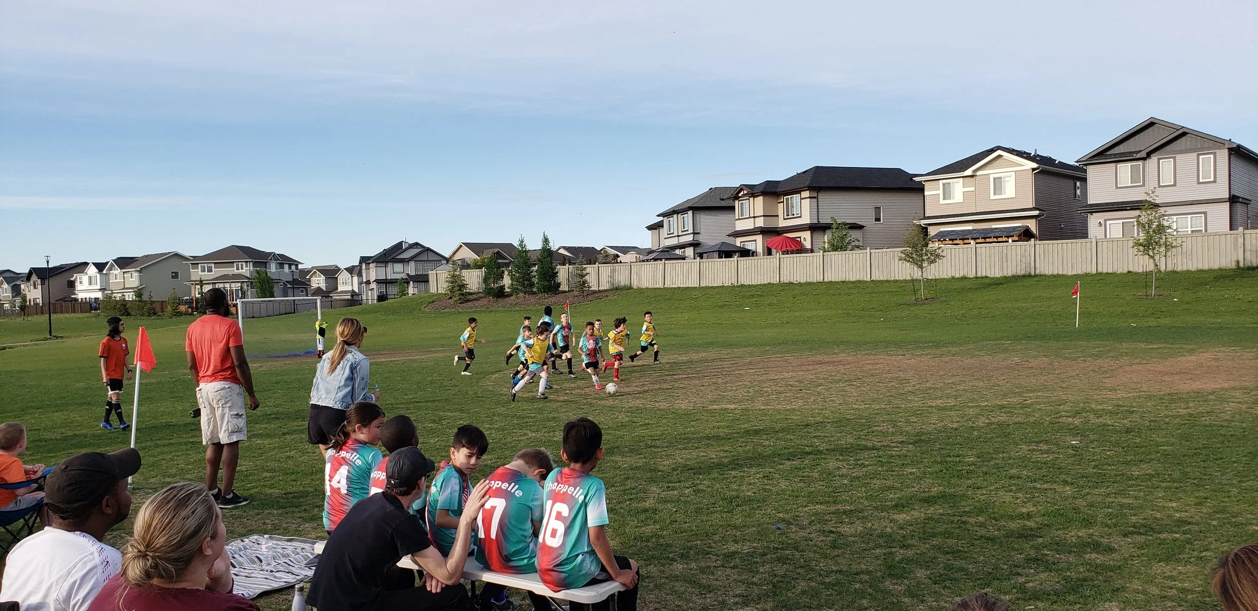 Children playing soccer on a grassy field, with spectators and coaches watching. Modern houses in the background under a blue sky.