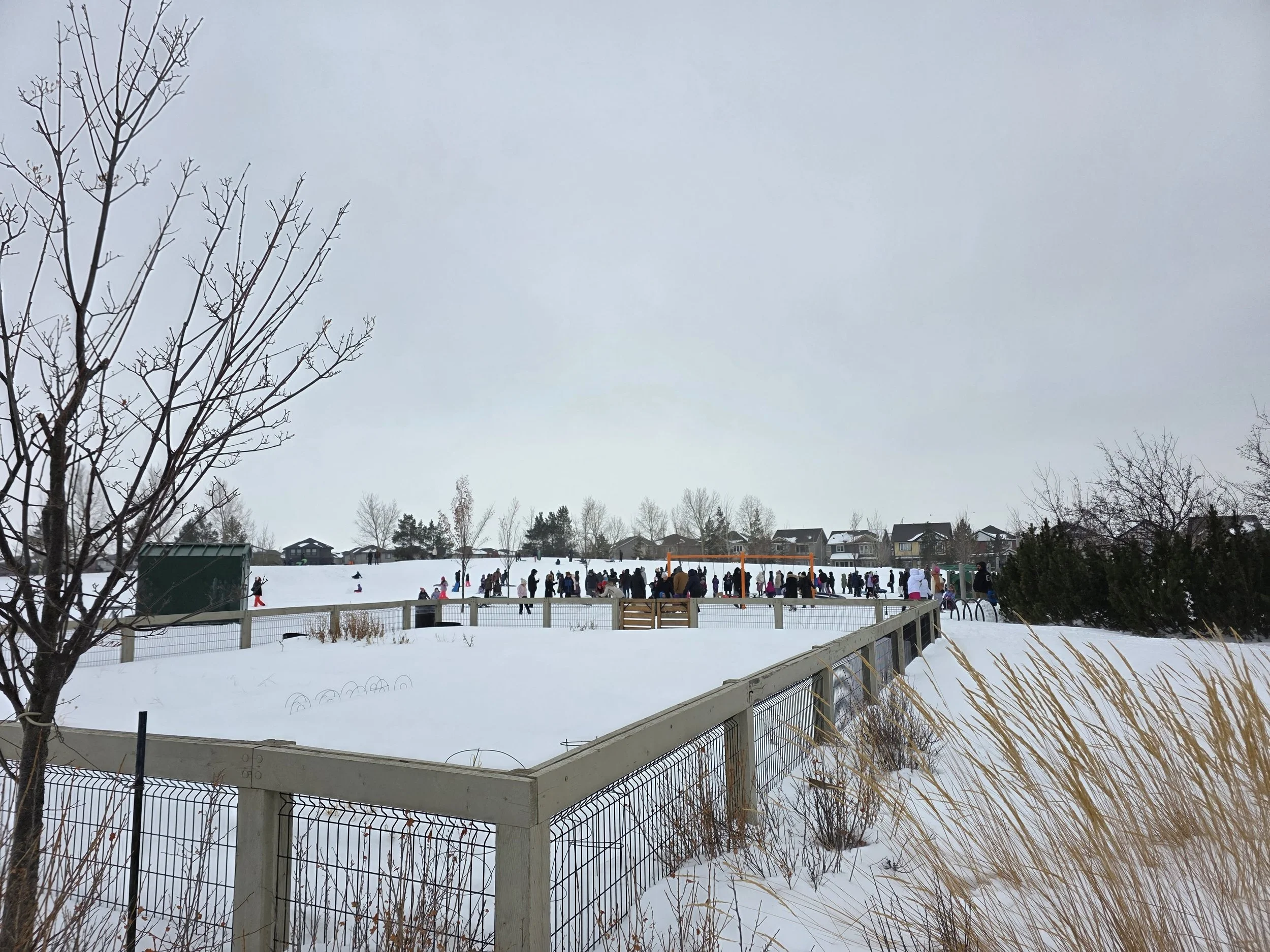 People enjoying outdoor activities in a snow-covered park, with playground equipment, trees, and residential houses in the background.