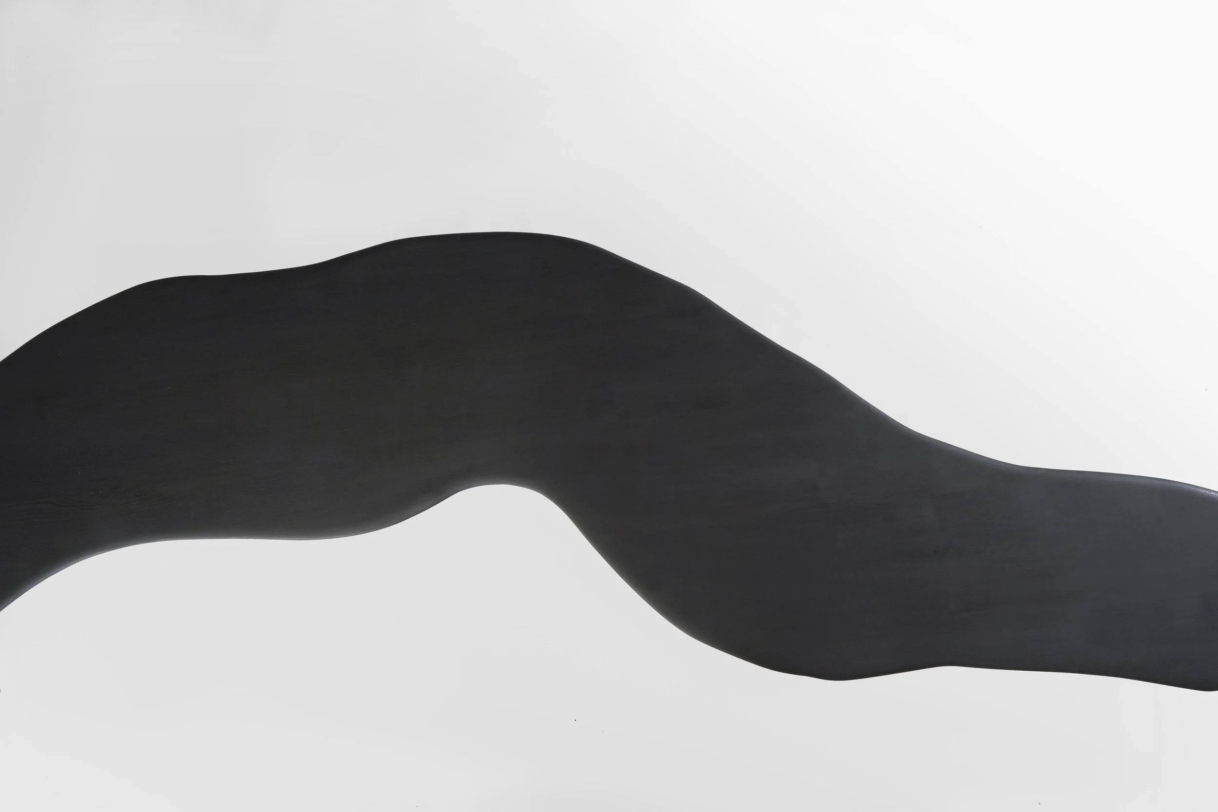 Une silhouette de jambe humaine en position de plié, photographiée en noir et blanc avec un fond blanc