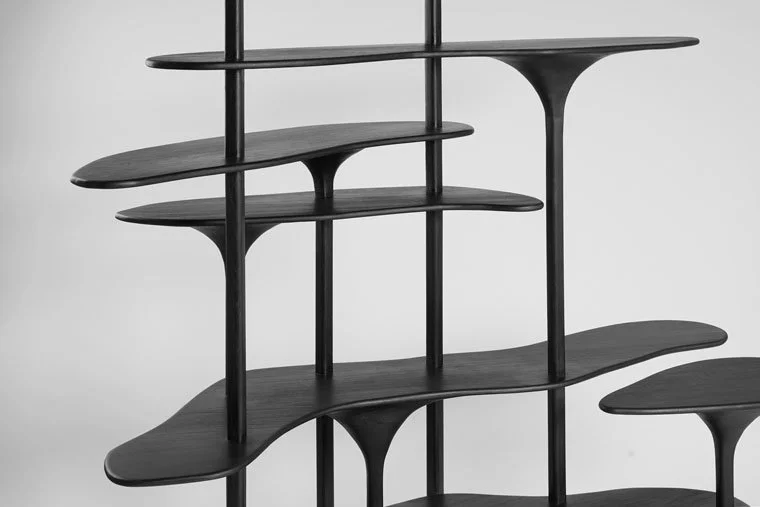 Étagères modernes en bois noir avec une conception sculpturale.