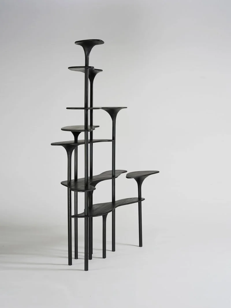 Une sculpture ou une étagère en bois noire avec plusieurs niveaux et supports, conçue de manière artistique et moderne.