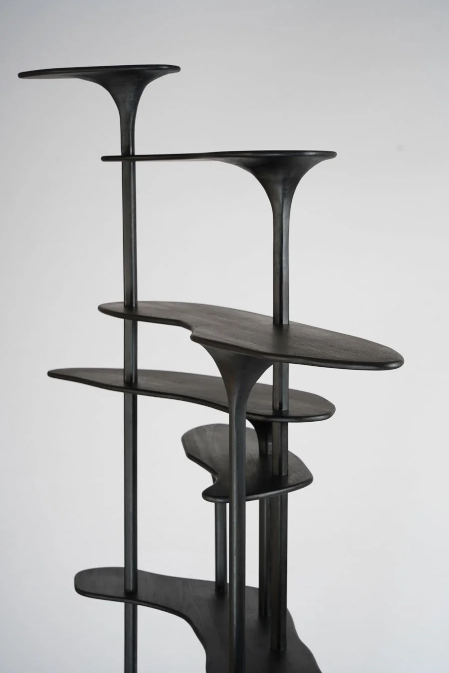 Étagère en bois noir avec plusieurs niveaux et supports en métal, design moderne et minimaliste.