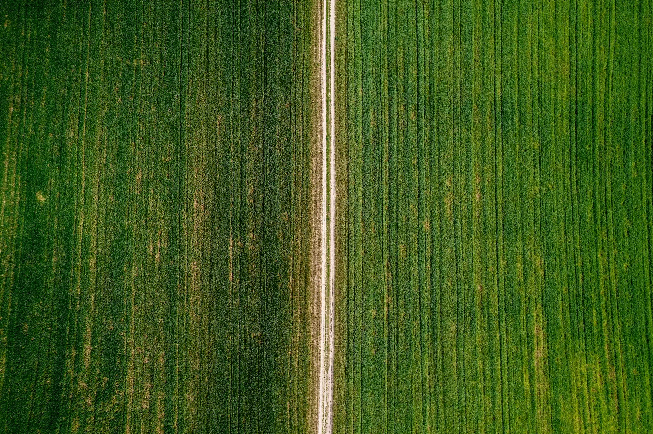 No Room for Mistakes: The Myth of Good Christian Parenting