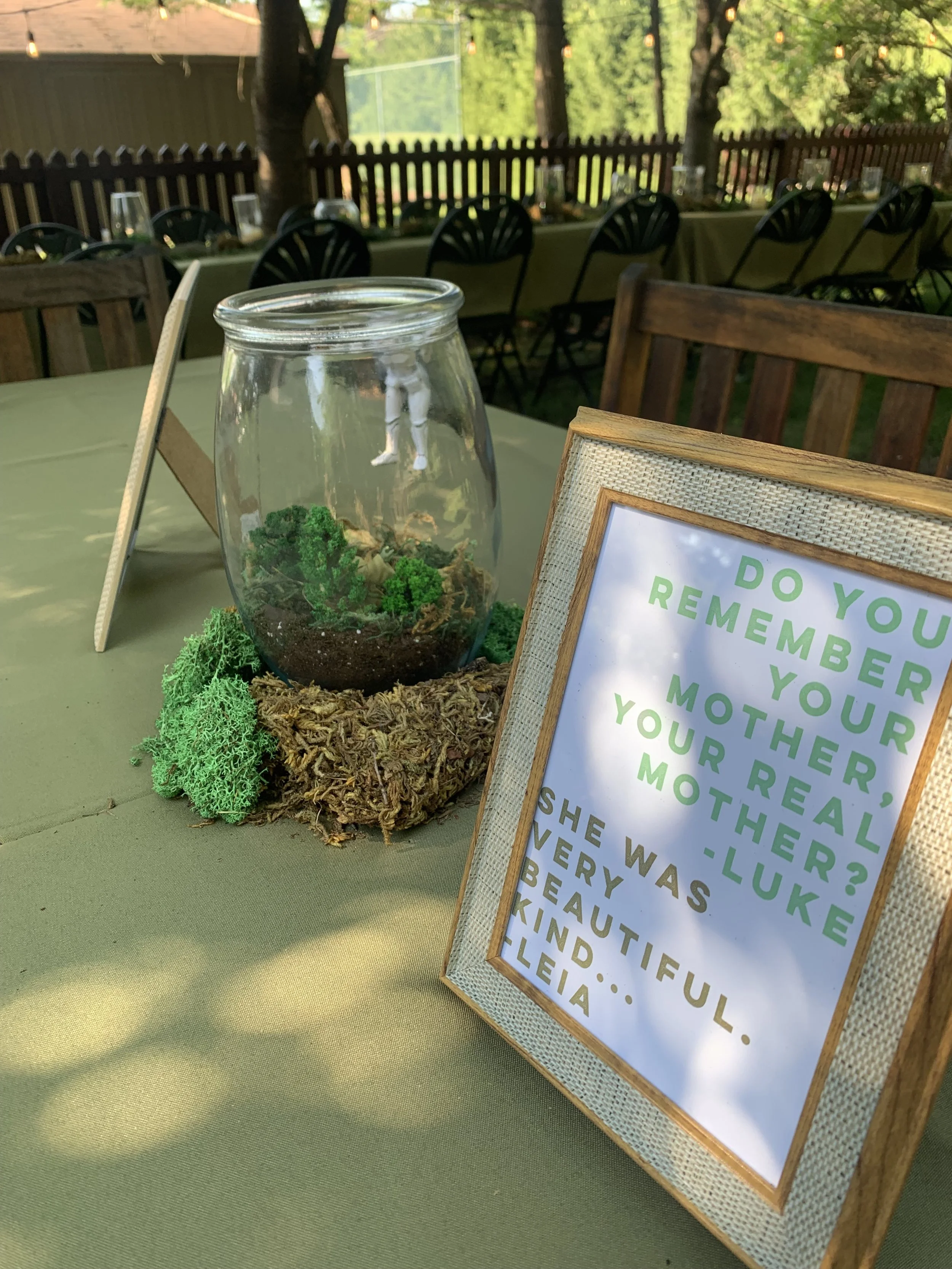 Baby Shower On Endor (Star Wars)-Mother Quote