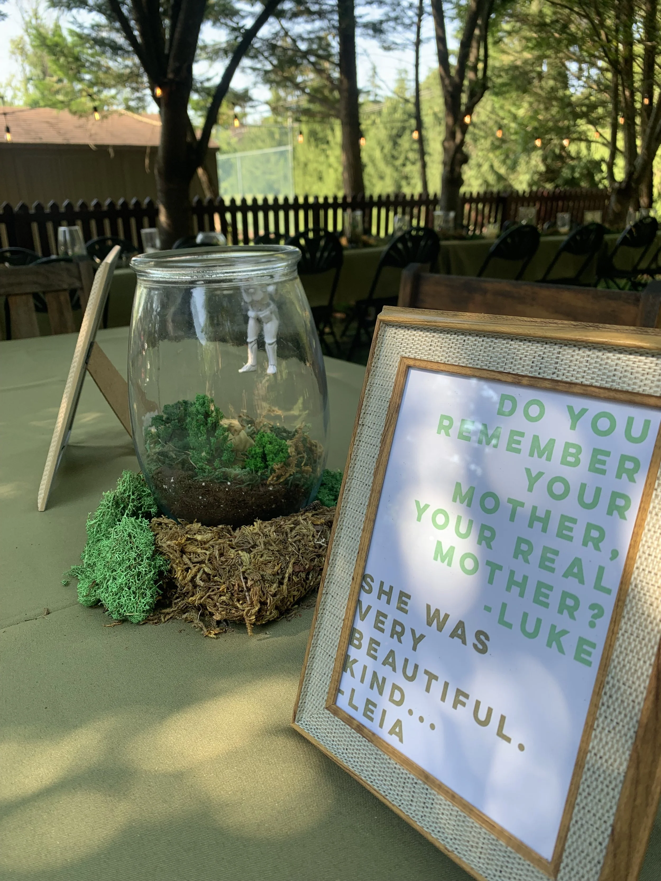 Baby Shower On Endor (Star Wars)- Leia Mother Quote