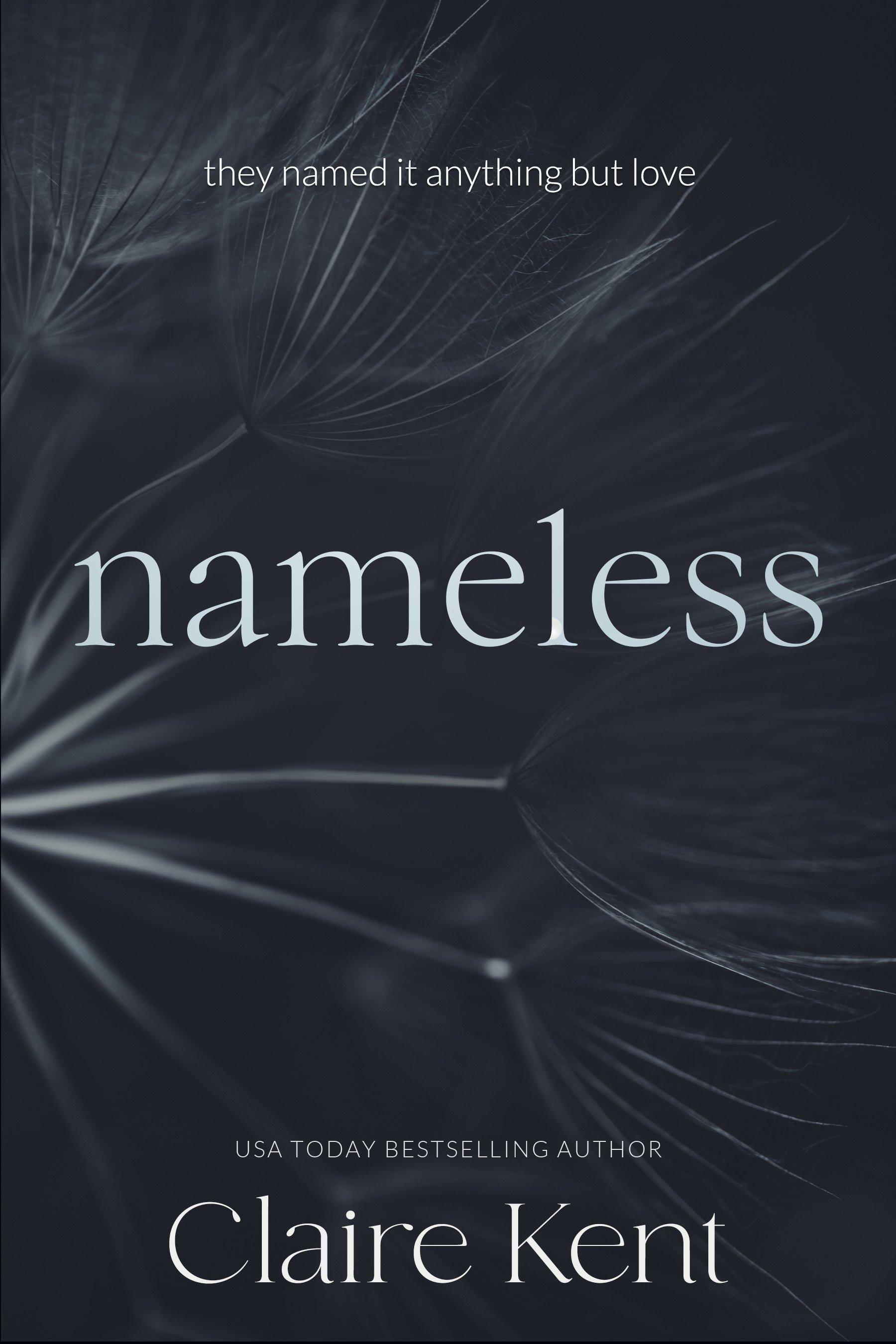 Nameless new.jpg