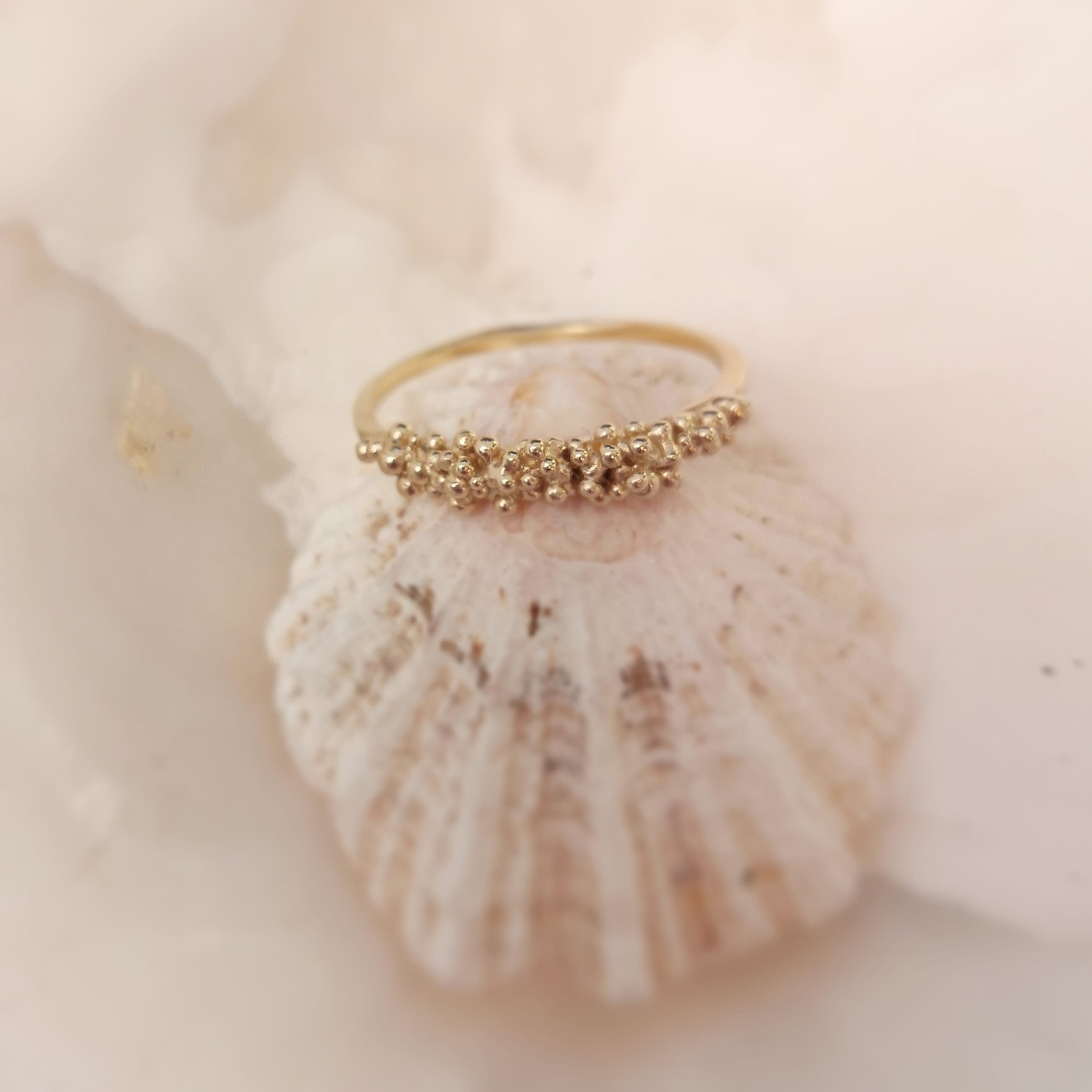 https://i.etsystatic.com/8156573/r/il/ab6446/2361243273/il_fullxfull.2361243273_dbw0.jpg