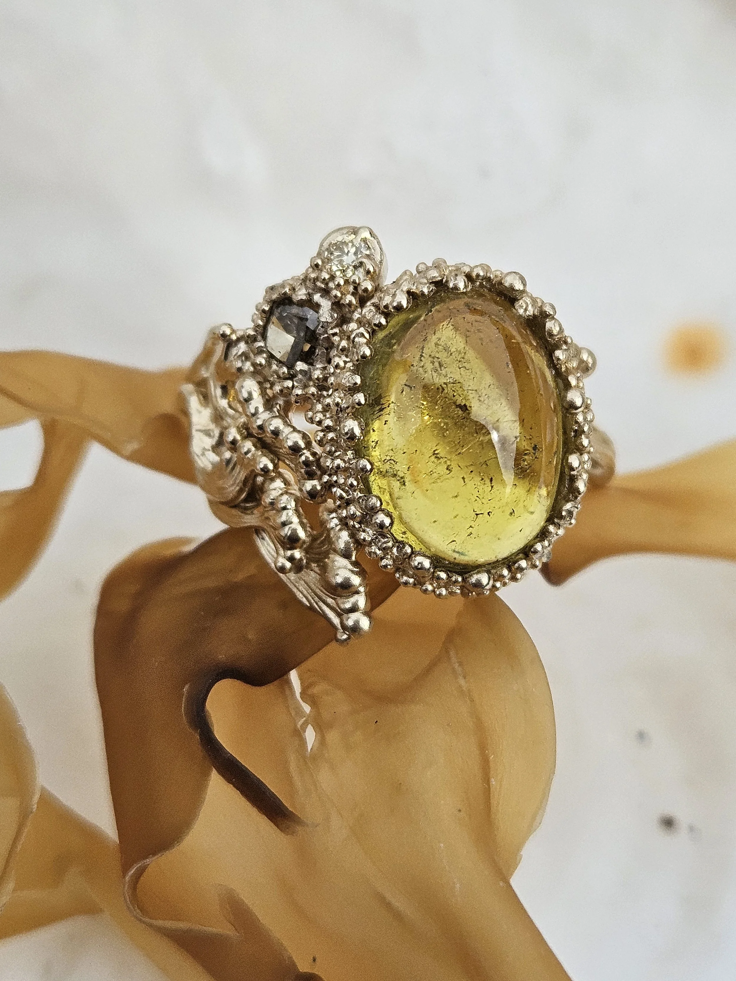 20260408_144341.jpg