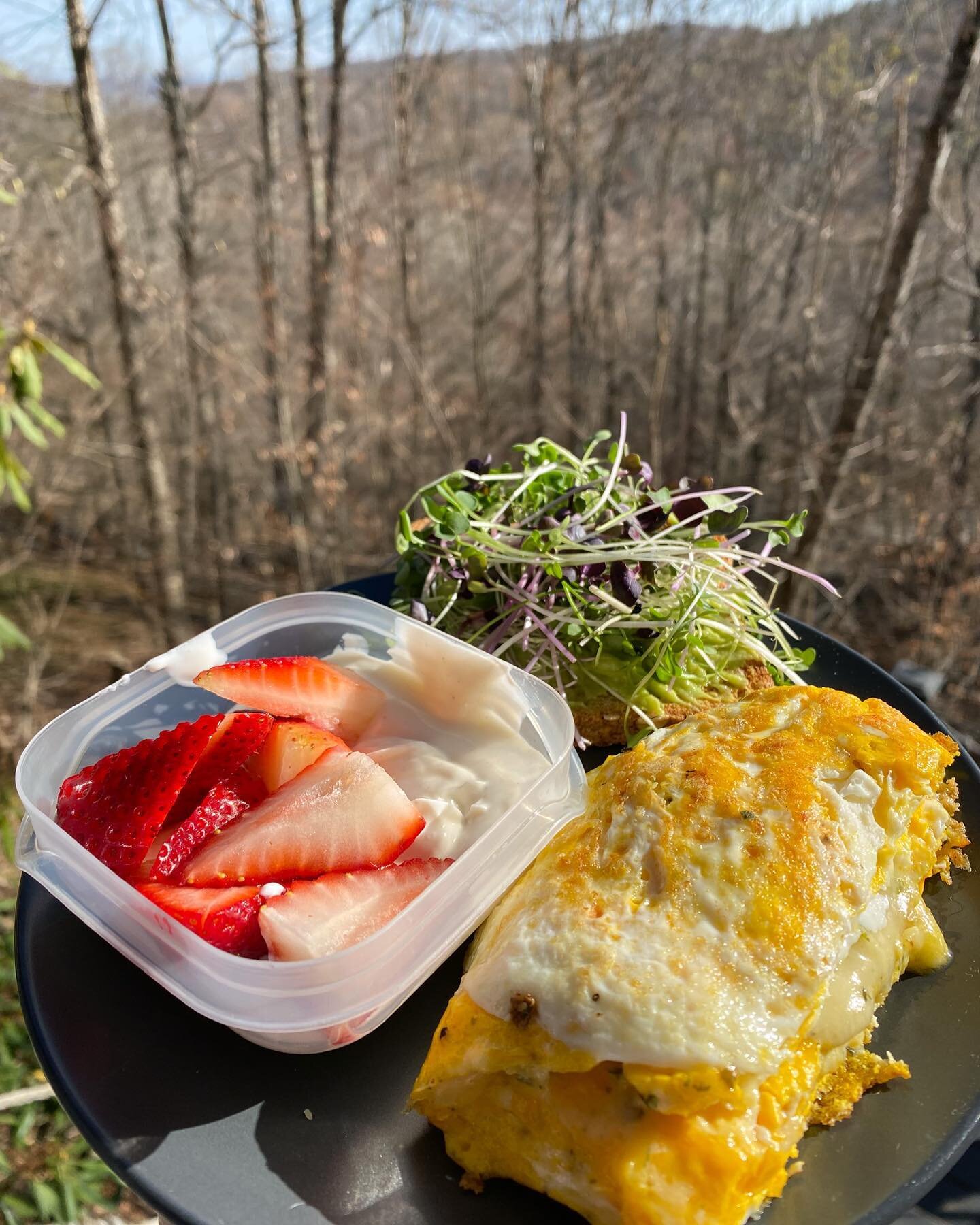 Eating healthy on vacation does not need to be difficult! Easy breakfast that can be whipped up in 10 minutes &darr;&darr;&darr; 

Avo on Ezekiel toast loaded with microgreens, organic eggs, local cheese (local to beech mountain!), yogurt and strawbe