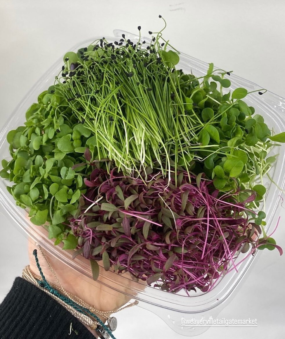 Have you tried our farm blend boxes yet? We create these with the intent to give you the most bang for your buck.  They are filled with a little bit of everything from shoots to microherbs to our specialty greens we don&rsquo;t otherwise offer at mar