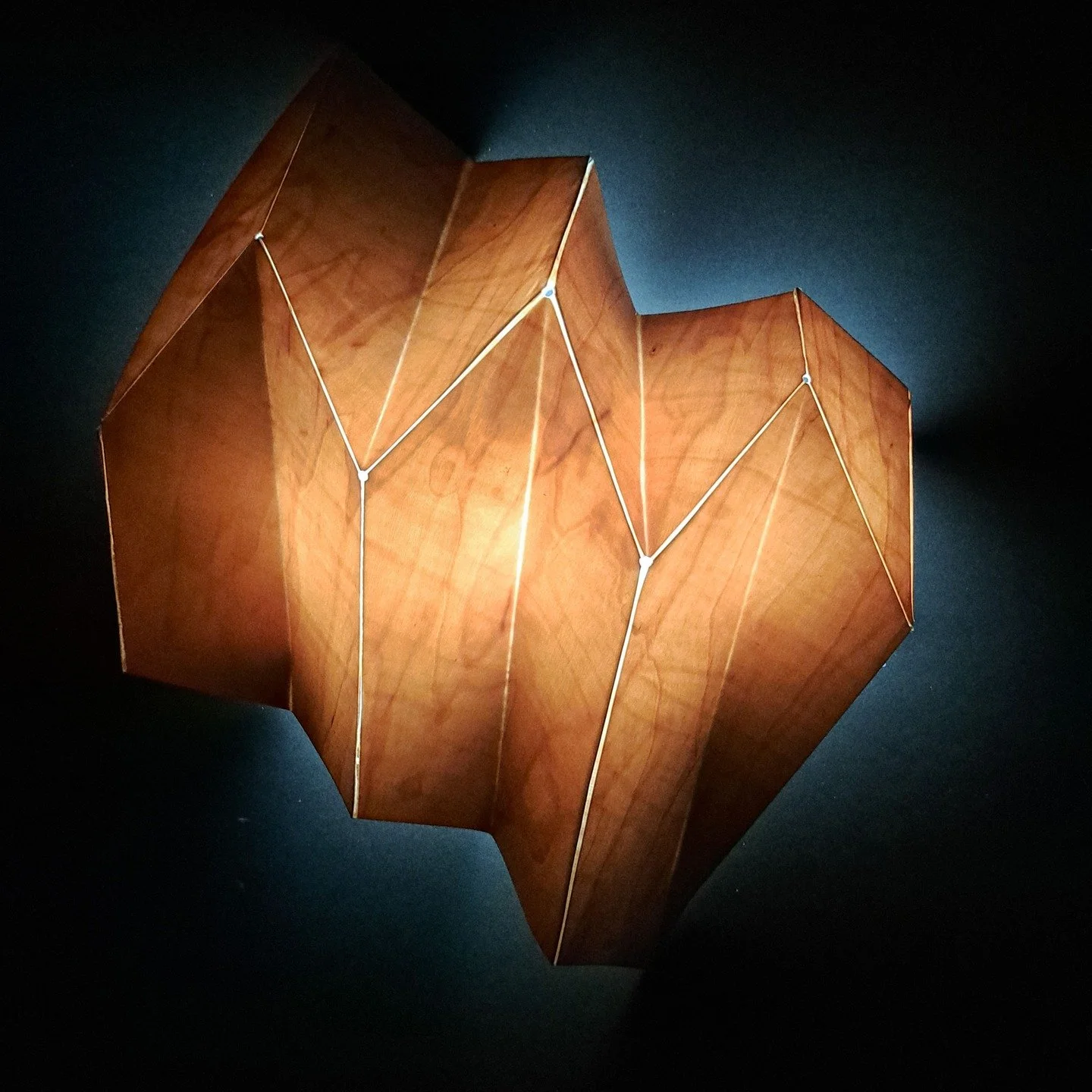 Another trial piece exploring the scoring and folding technique. This time a wall mounted light fitting. This technique is opening up a whole new and exciting array of geometries.

@cfpr_research
#researchpractice
#practiceasresearch
#researchpractic