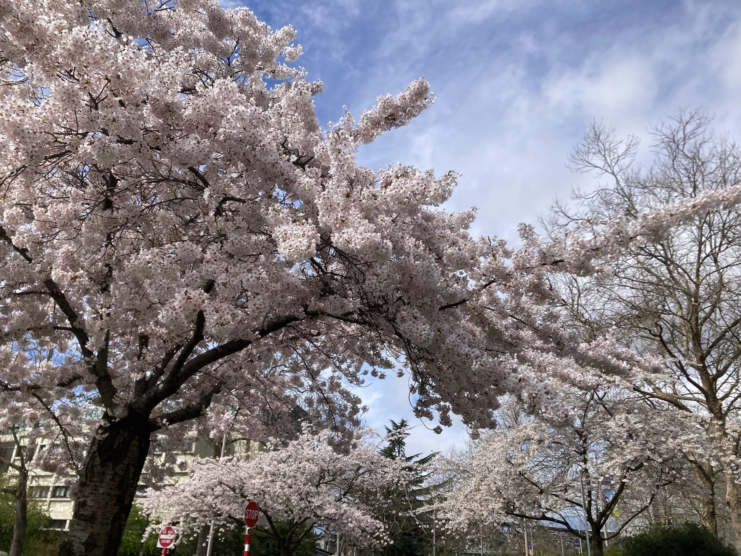 Looking for an undergraduate research position? A PI’s advice
