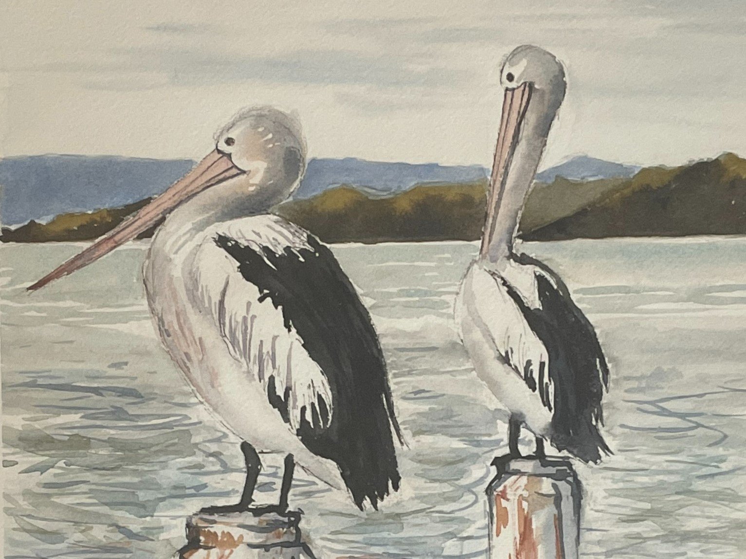 Home Tile - Pelicans.jpg