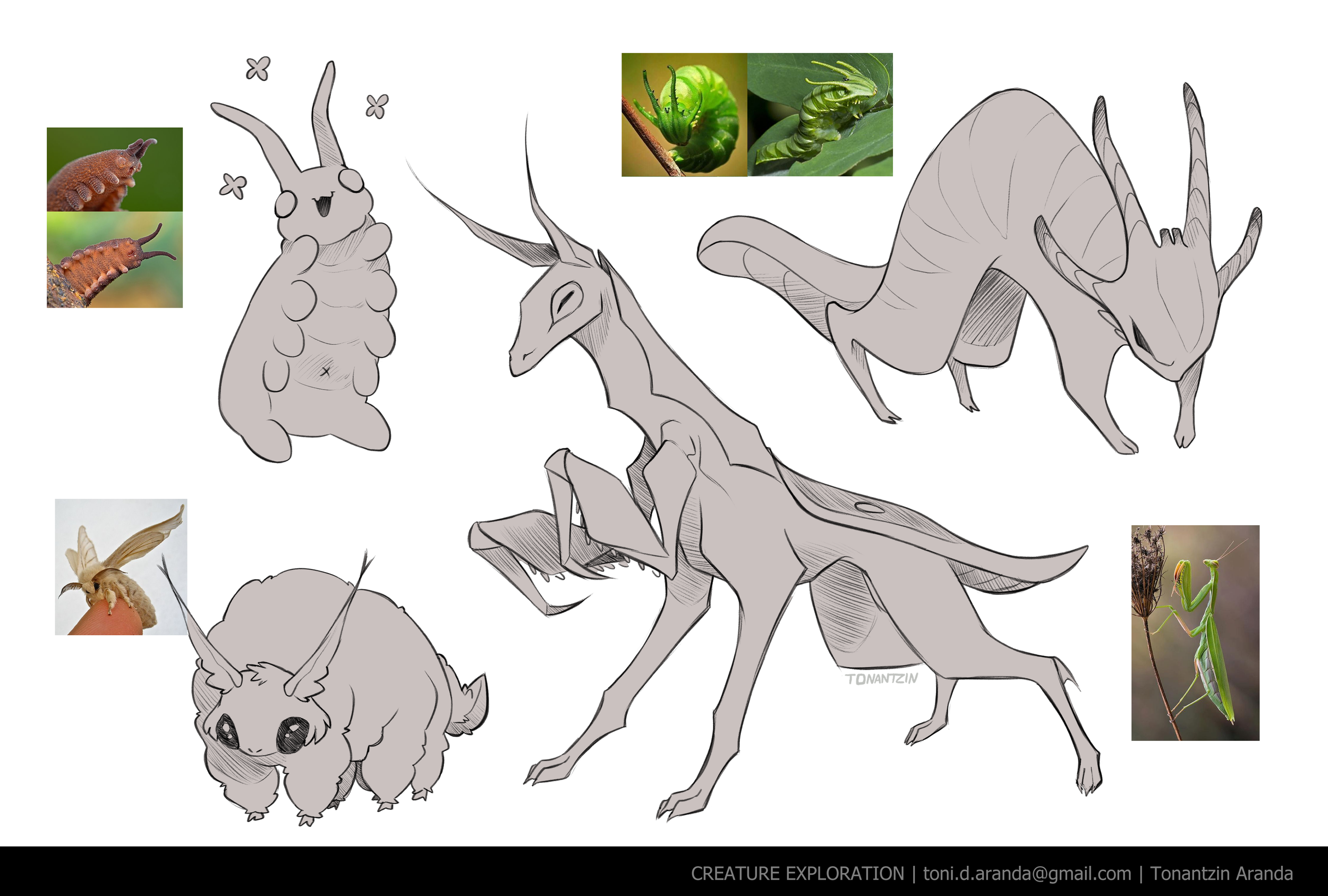 bug exploration.png