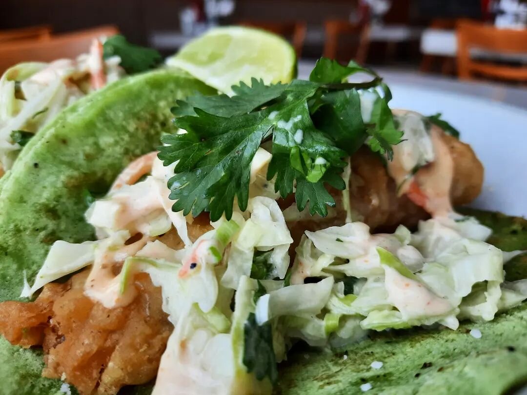 We're also running a Fish Taco special while supplies last! A beer battered whitefish on a green cactus tortilla, topped with a Cholula lime aioli, house made slaw and cilantro.

#chicagodrinks #Chicagobrunch #burgers #salad #tacos #chicagotacos #cin