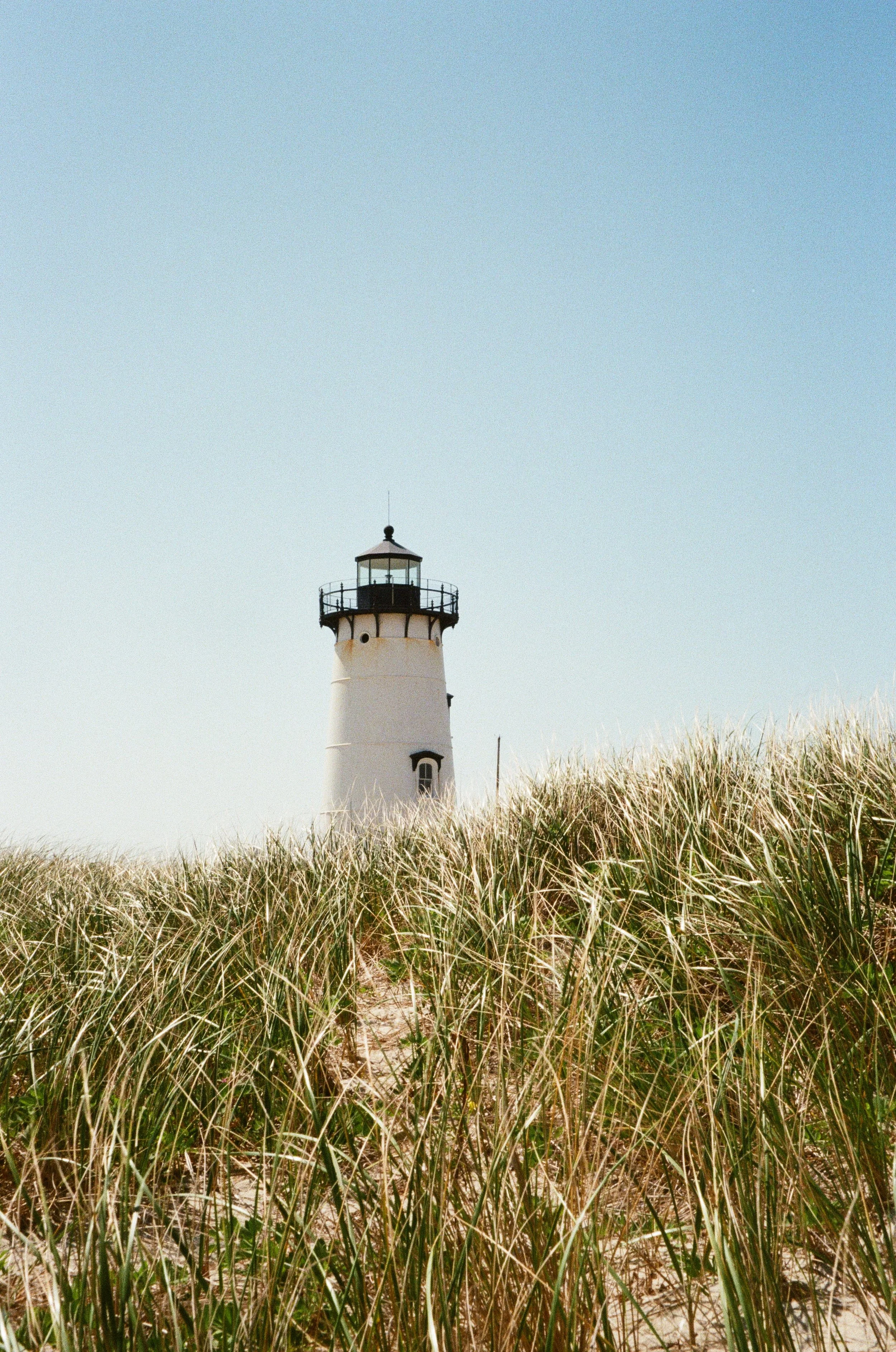 100(ish) Things That Made My Year | 2025